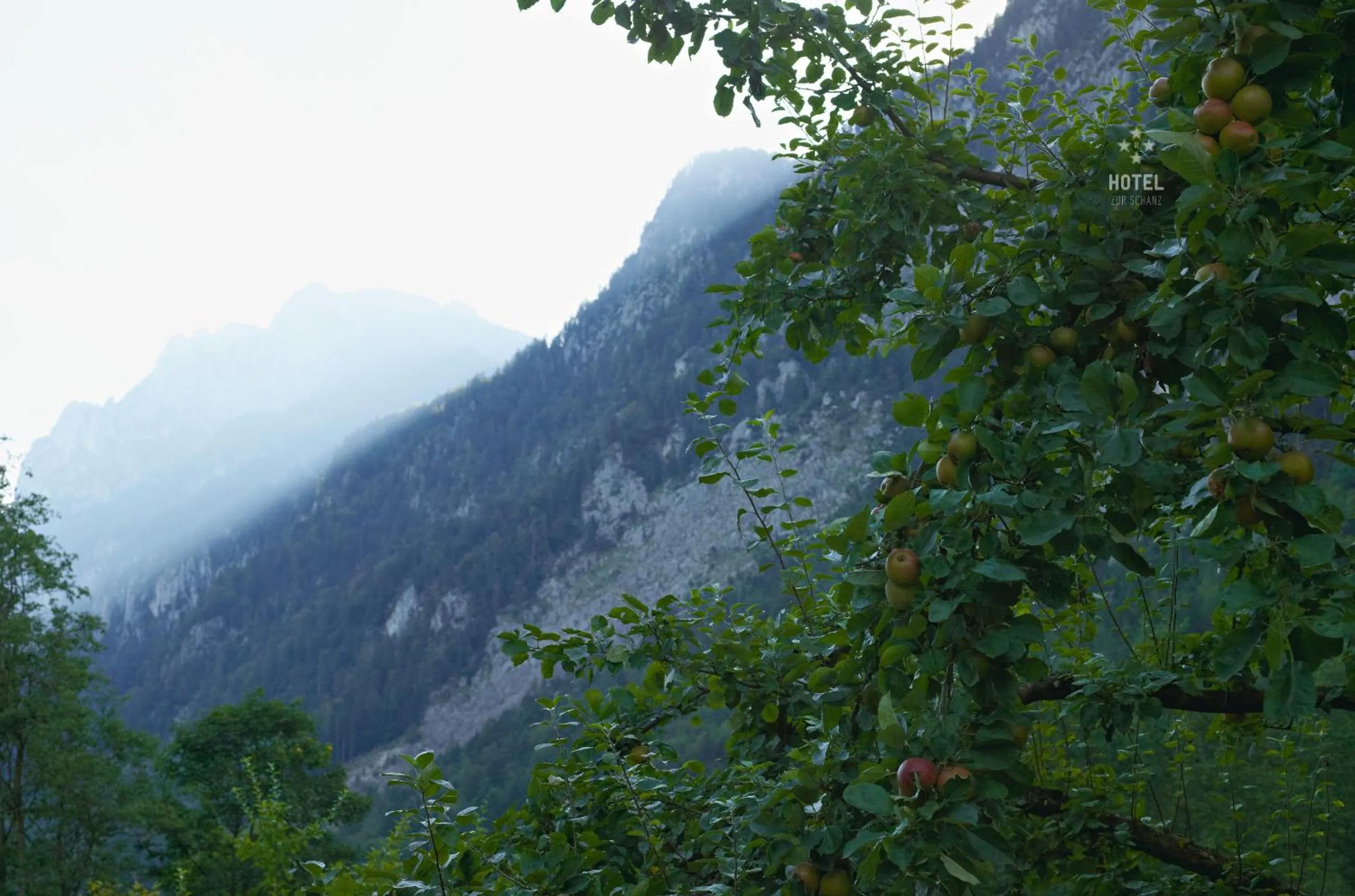 Garden in Hotel B&B "Zur Schanz"