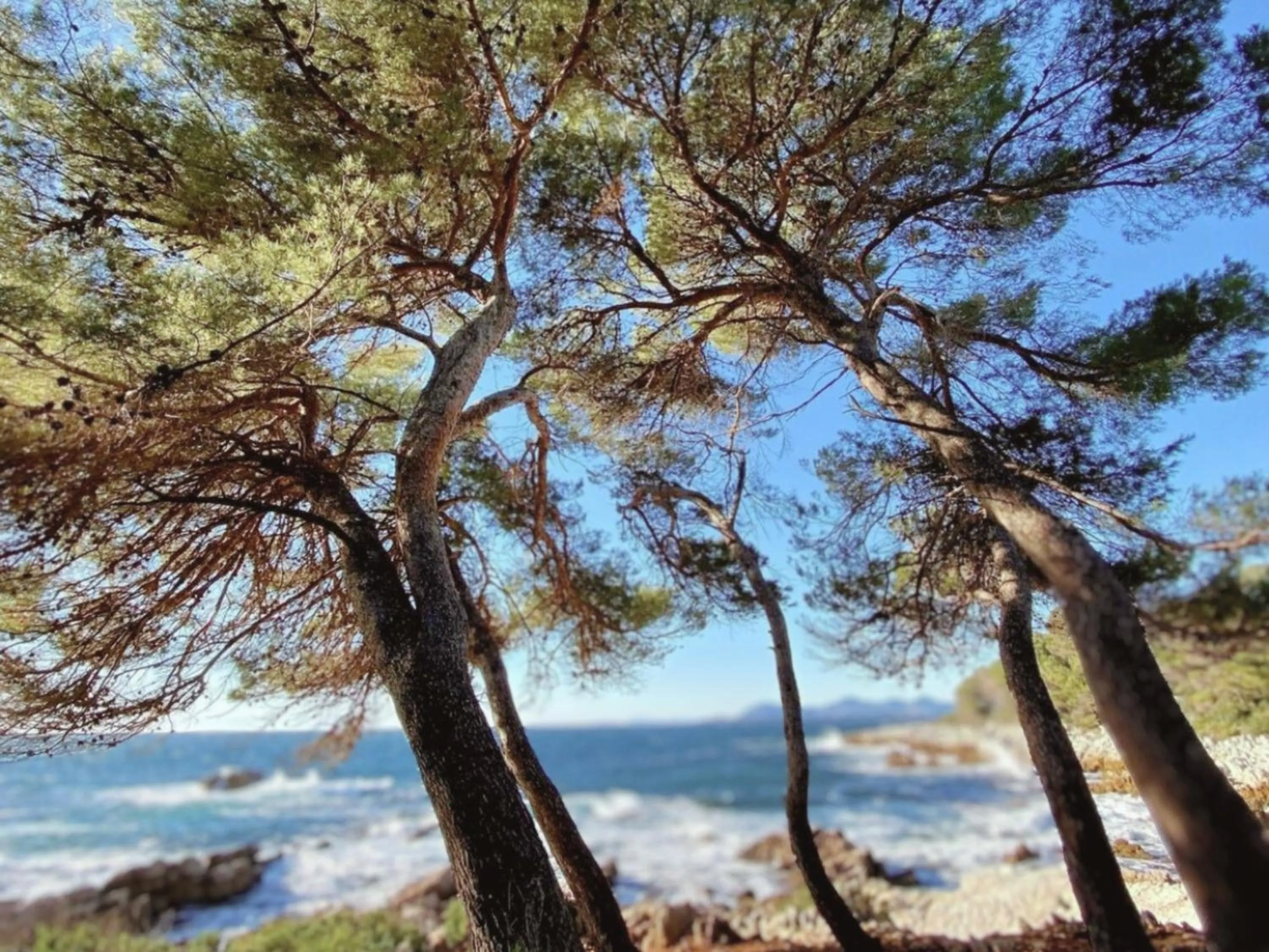 Nearby landmark in La Jabotte