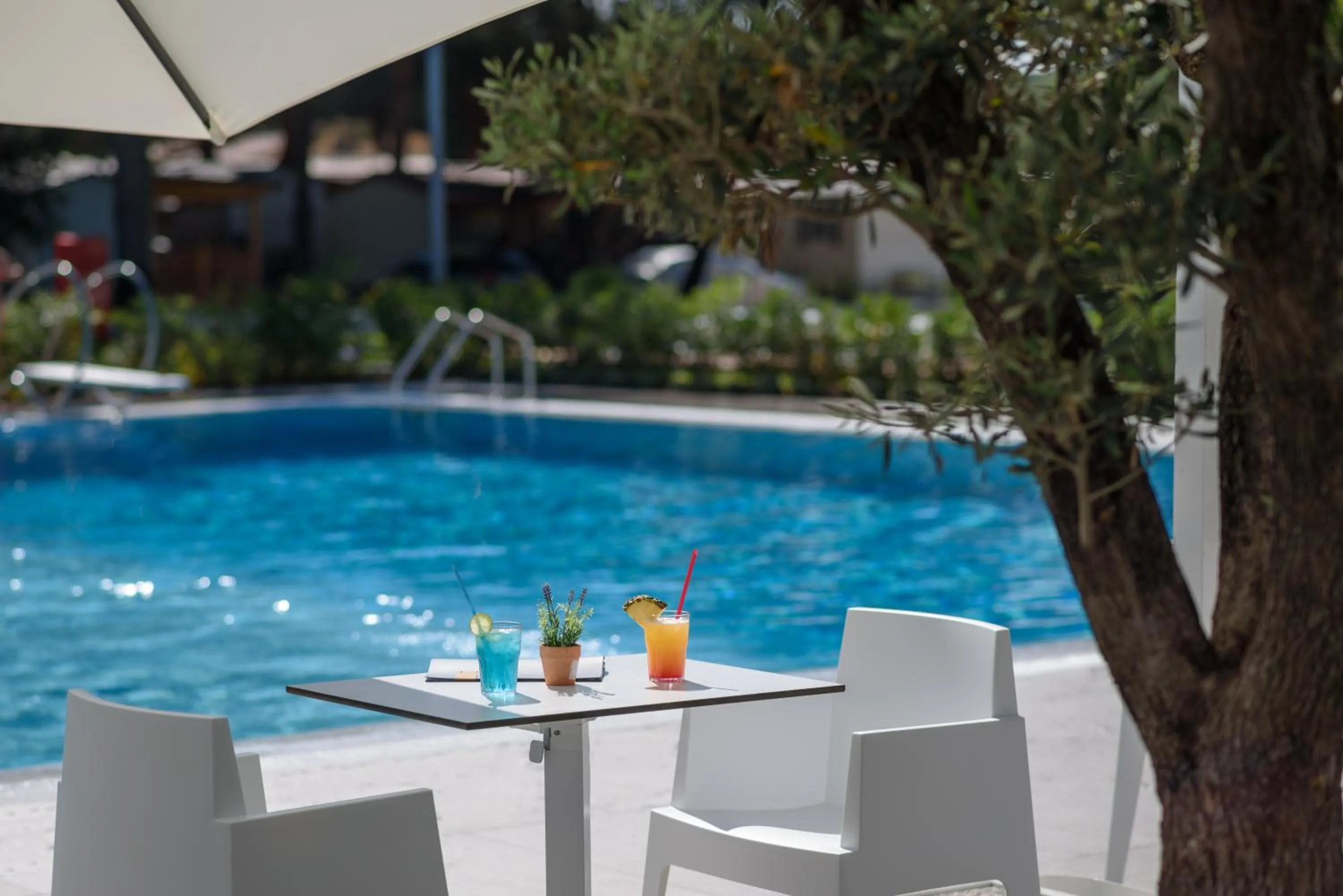 Lounge or bar in Maistra Camping Valkanela Mobile homes