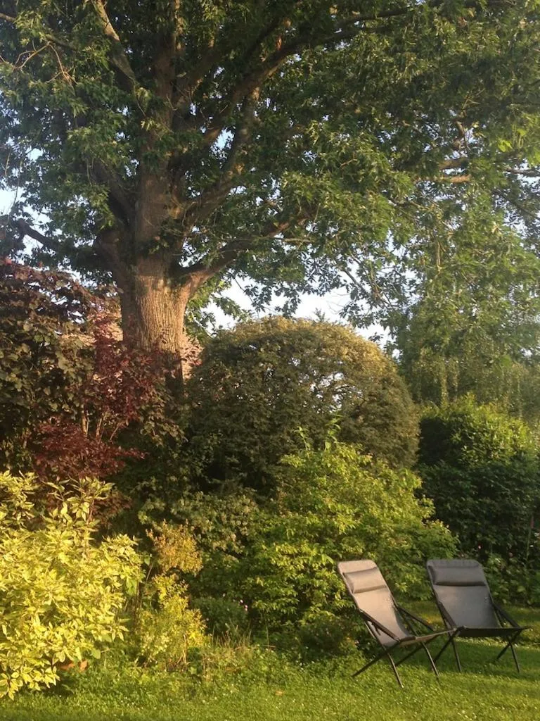 Garden in Maison d'hôtes de charme La Rose de Ducey près du Mont Saint Michel