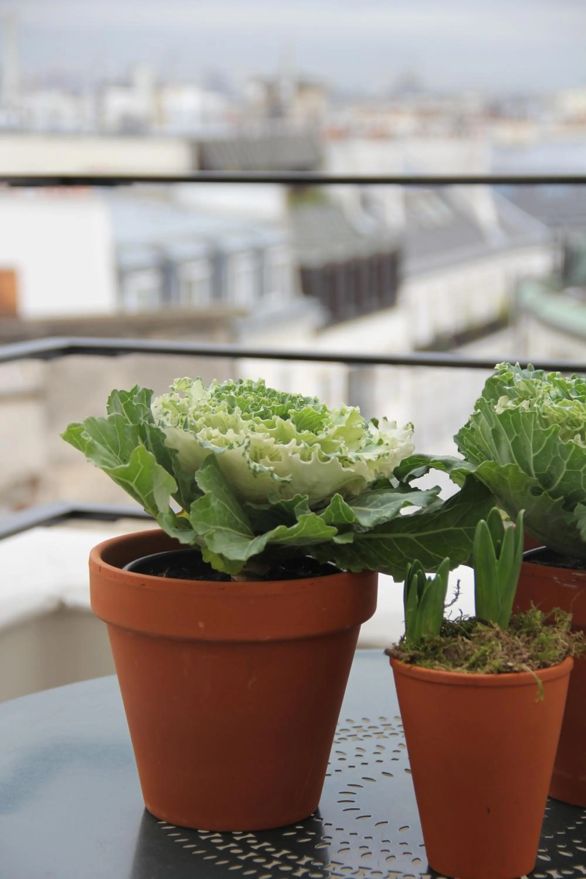 Decorative detail in Hôtel des 3 Poussins