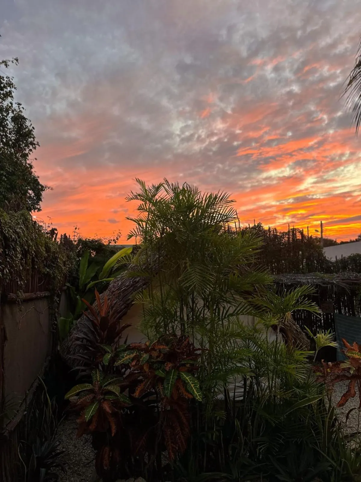 Patio in El Búho Bacalar Eco-Cabañas Hostal