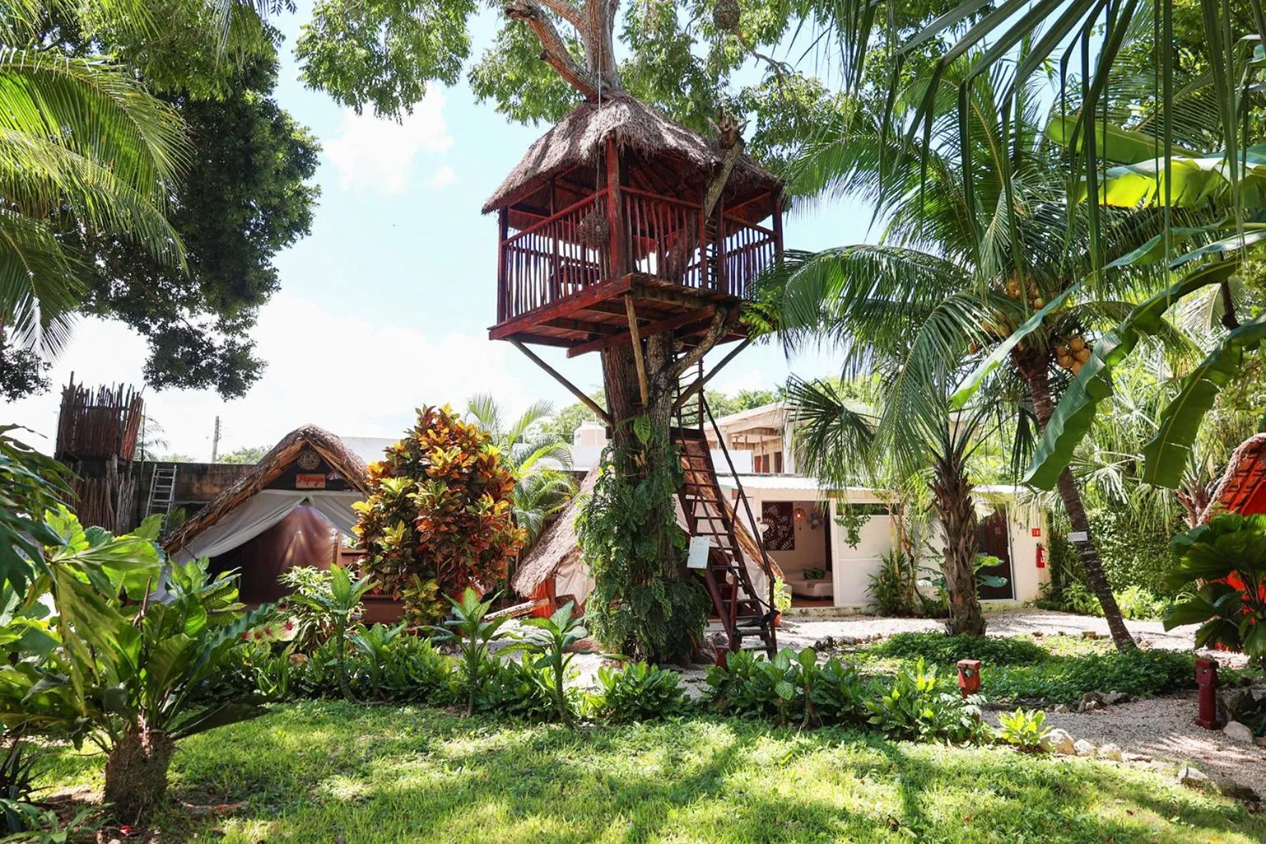 Garden in El Búho Bacalar Eco-Cabañas Hostal
