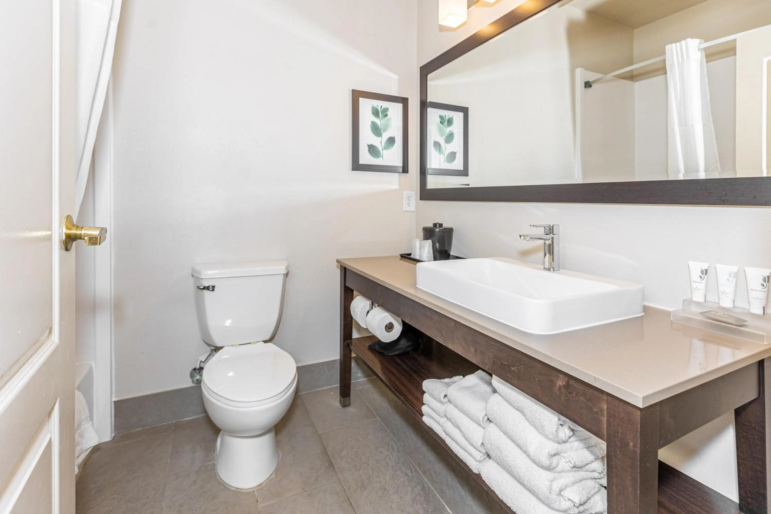Bathroom in Country Inn & Suites by Radisson, Smyrna - Atlanta Northwest