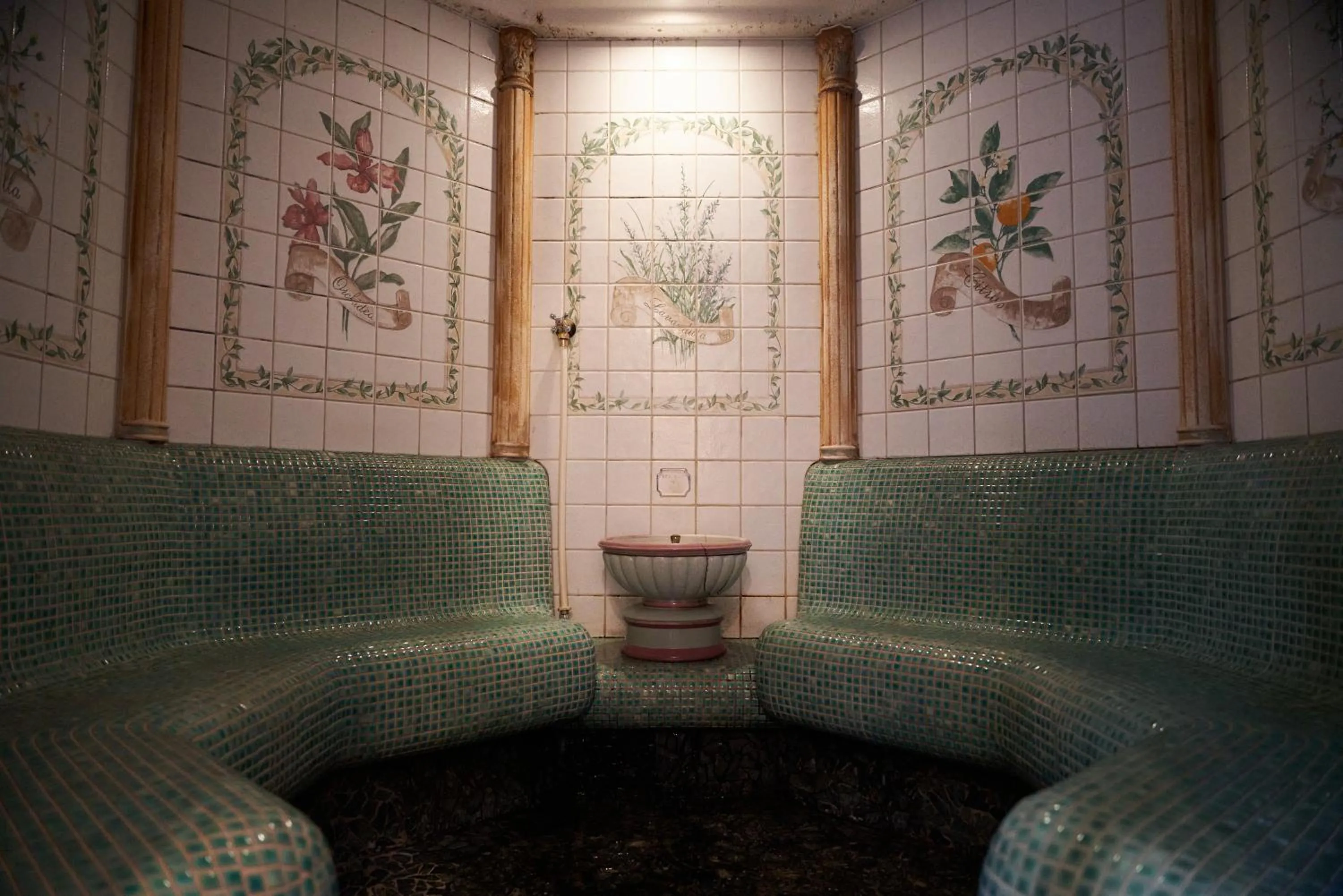 Spa and wellness centre/facilities in Seiryu-so