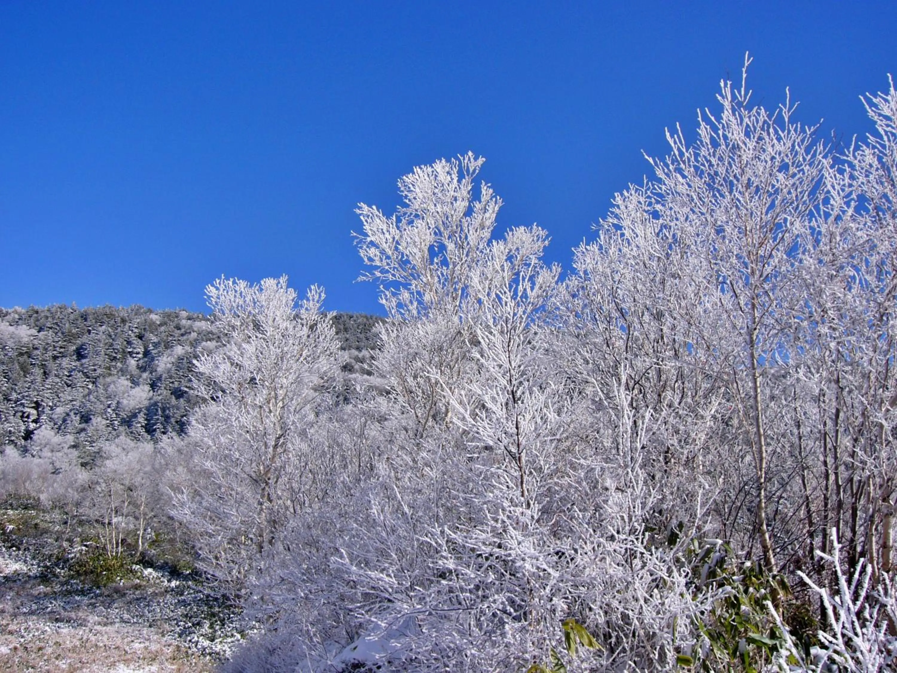 Nearby landmark in Kidoike Onsen Hotel