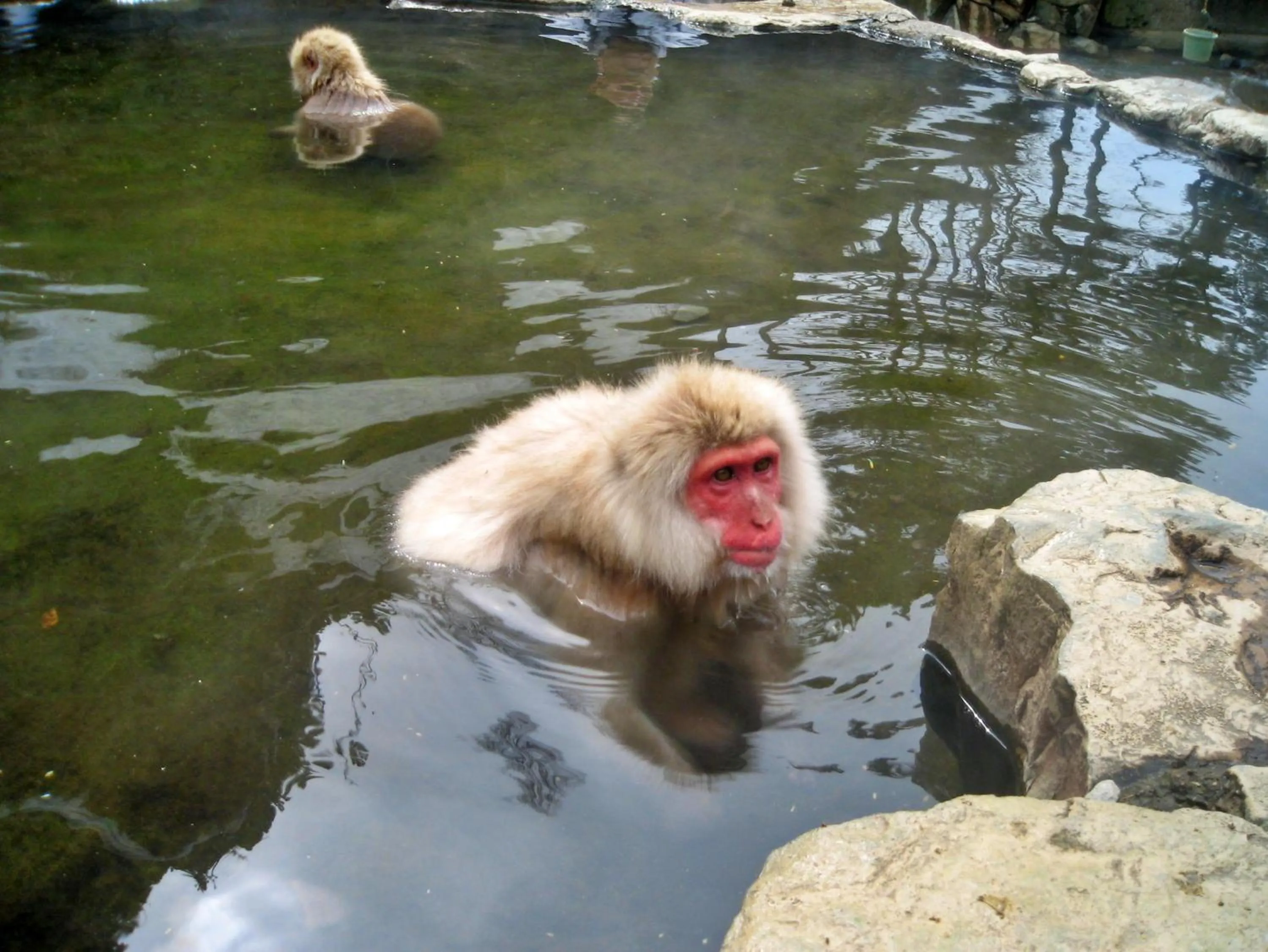Nearby landmark in Kidoike Onsen Hotel