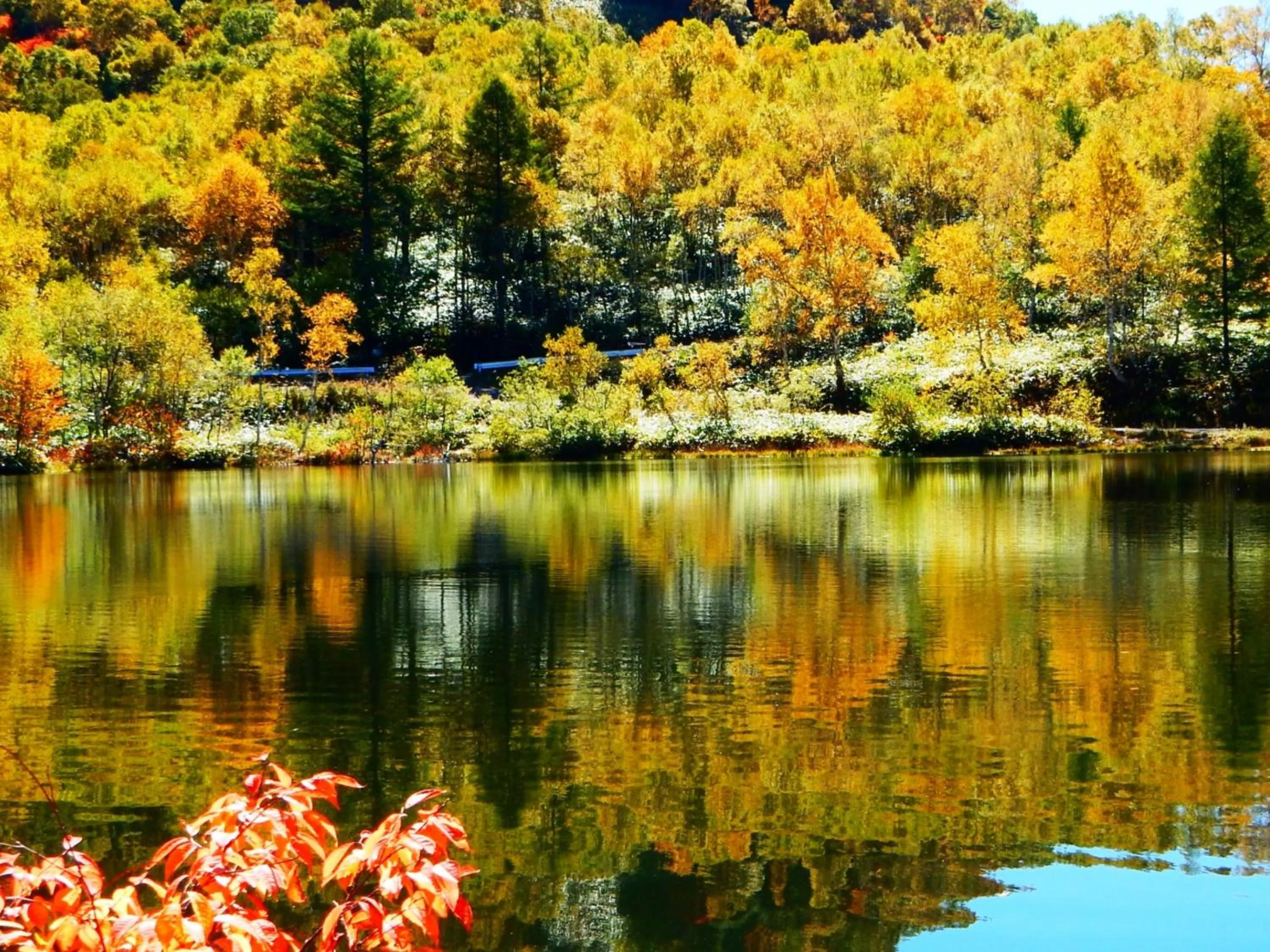 Nearby landmark in Kidoike Onsen Hotel