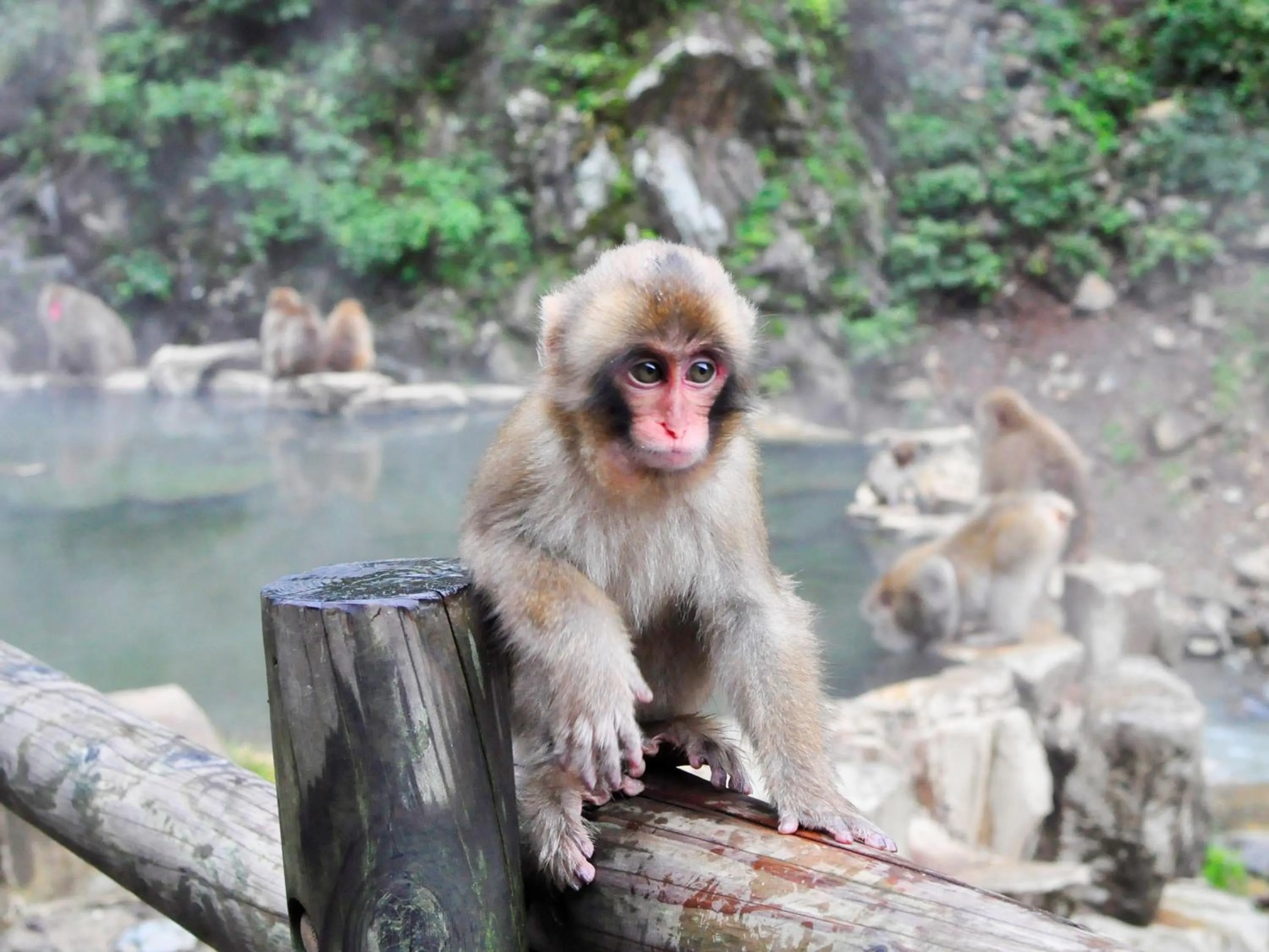 Nearby landmark in Kidoike Onsen Hotel