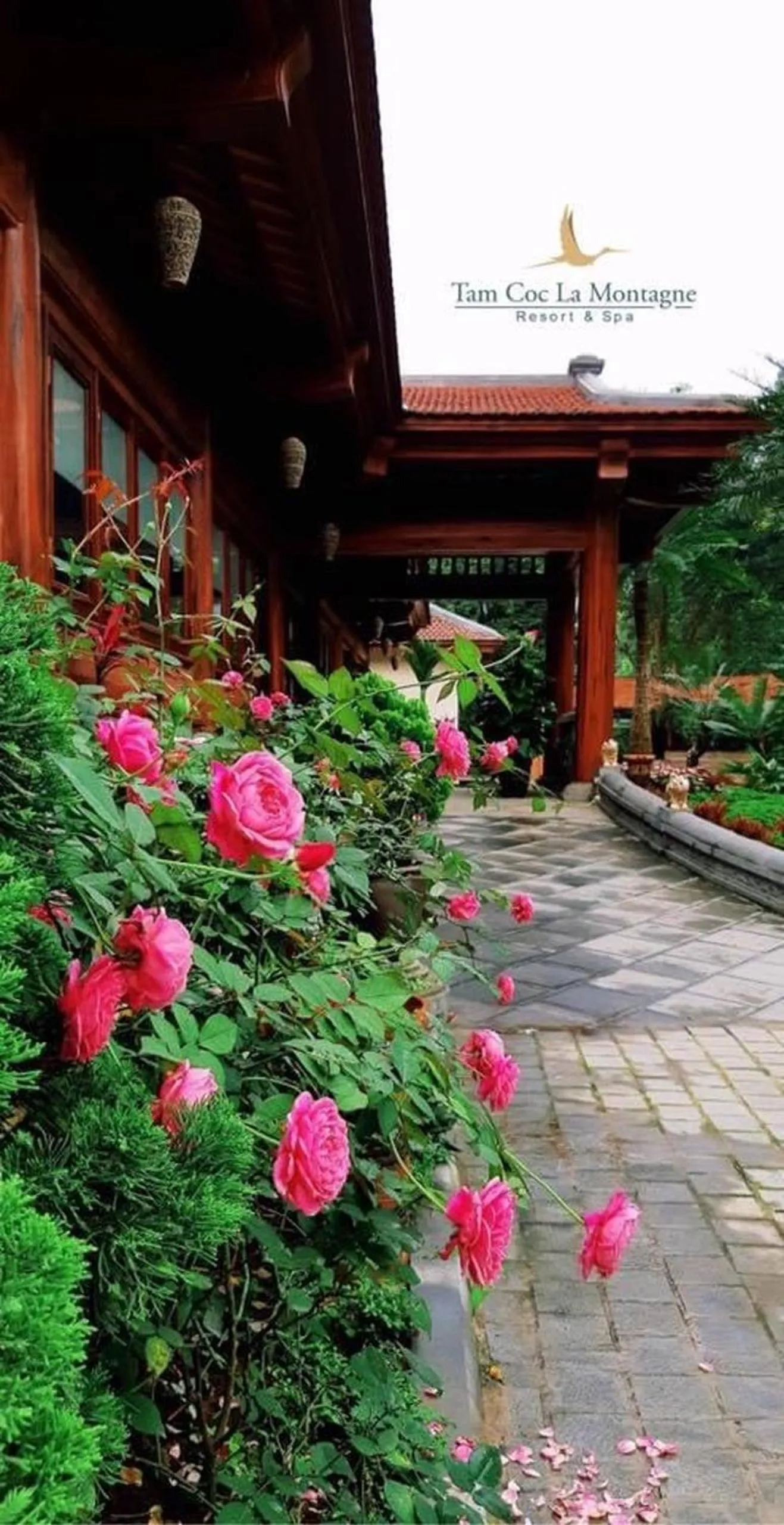 Patio in Tam Coc La Montagne Resort & Spa Ninh Binh