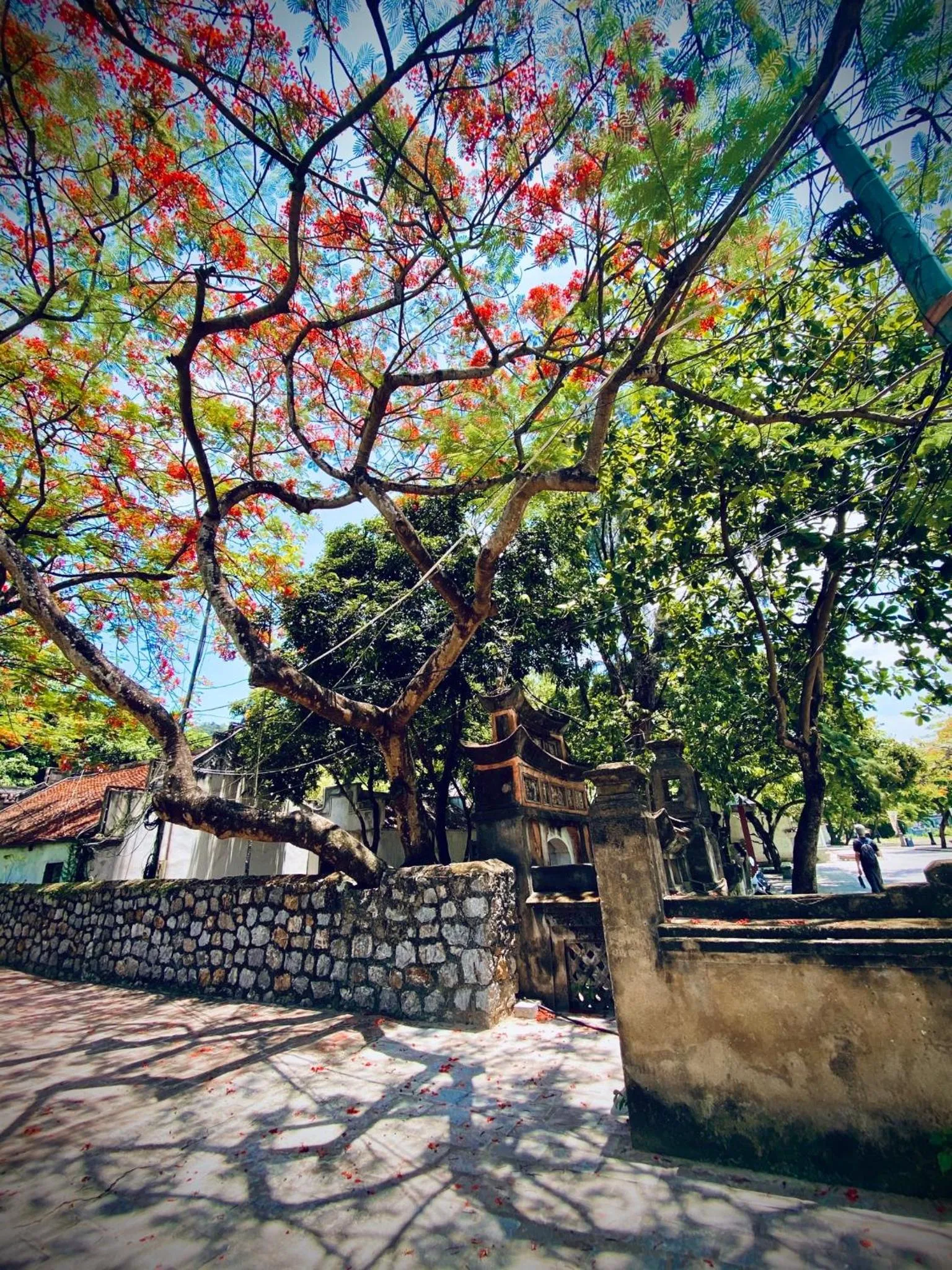 Nearby landmark in Tam Coc La Montagne Resort & Spa Ninh Binh