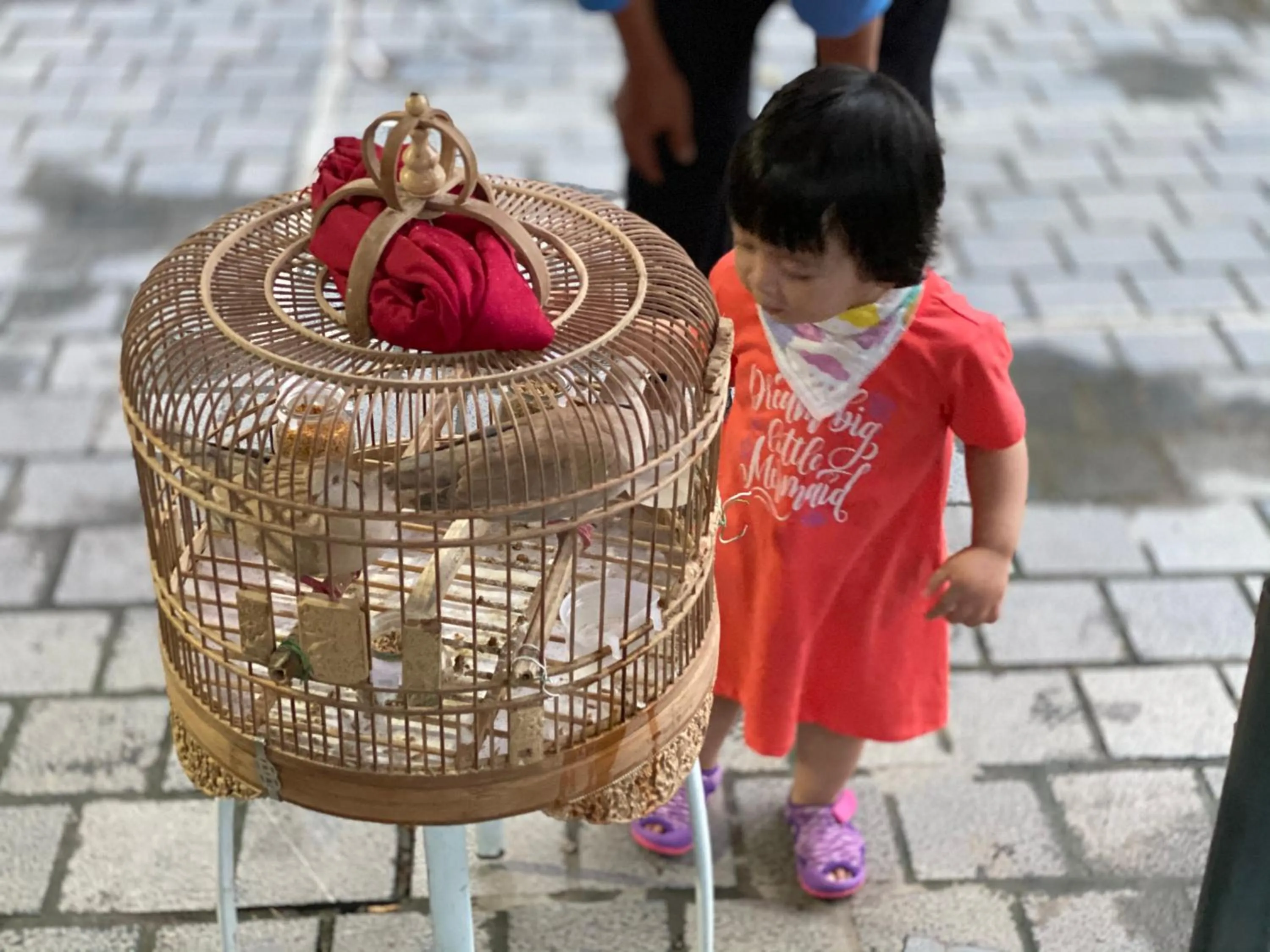 Tam Coc La Montagne Resort & Spa Ninh Binh