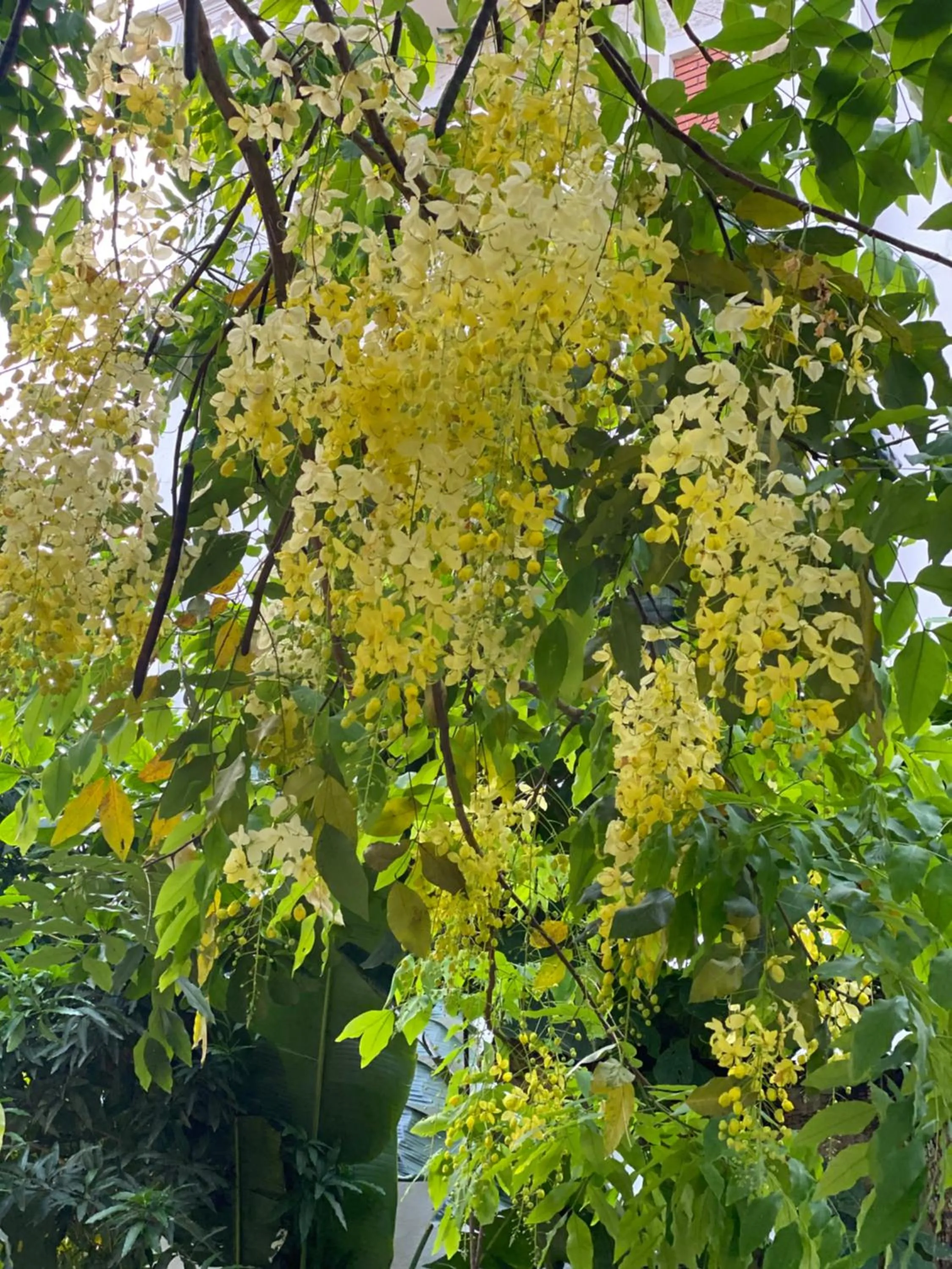 Natural landscape in Tam Coc La Montagne Resort & Spa Ninh Binh