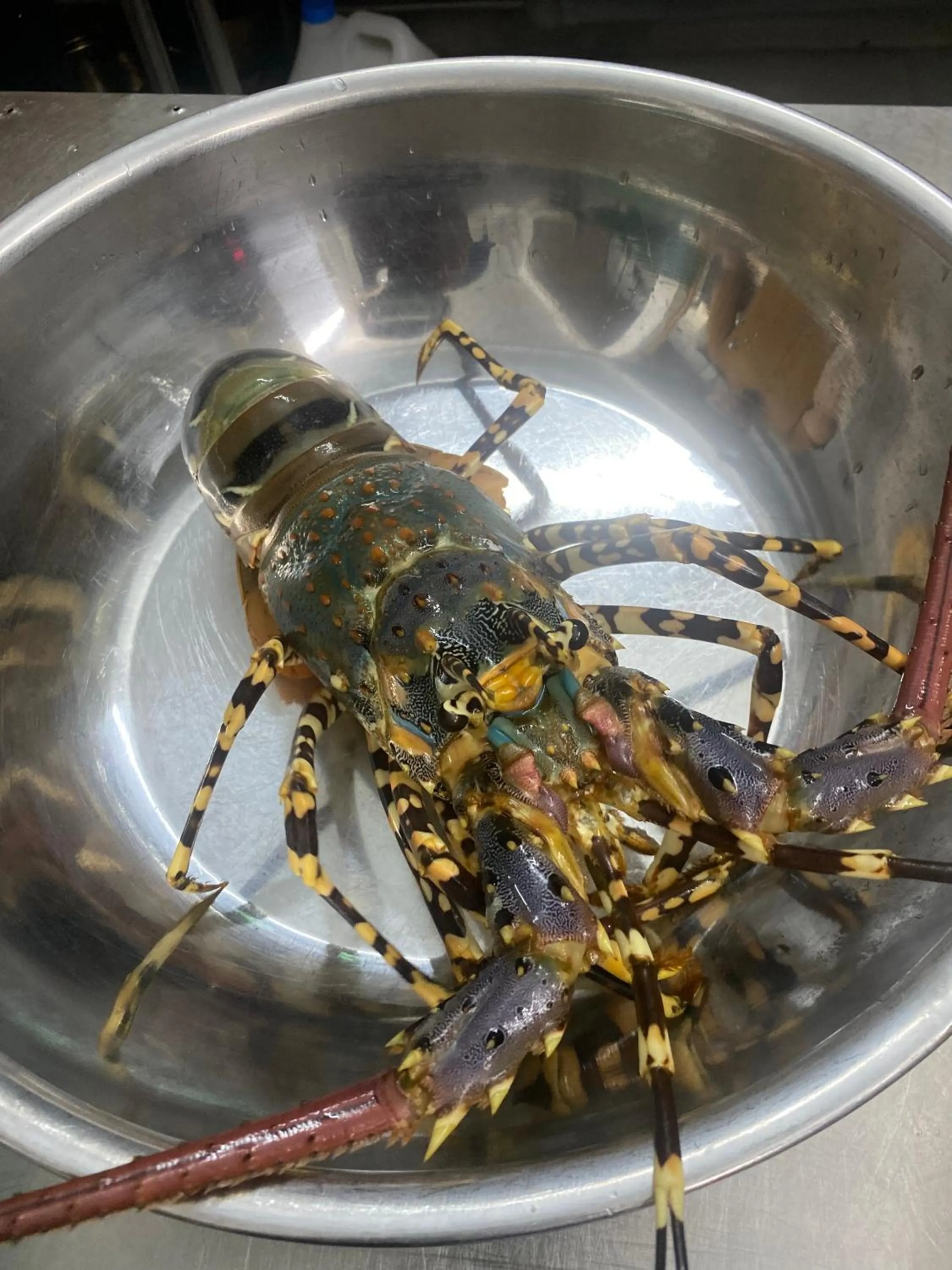 Tam Coc La Montagne Resort & Spa Ninh Binh