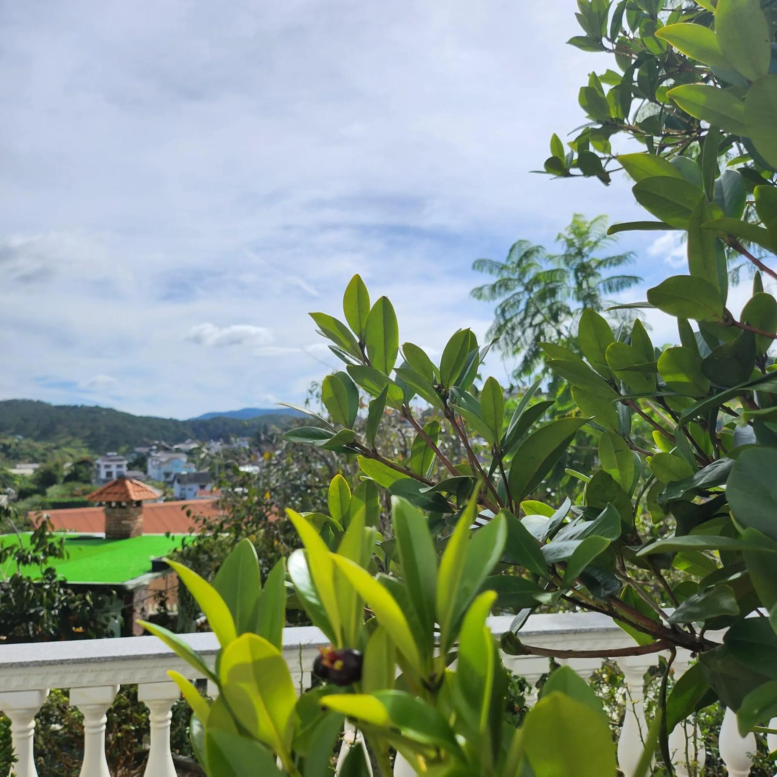 Garden in Myrtle Boutique Hotel