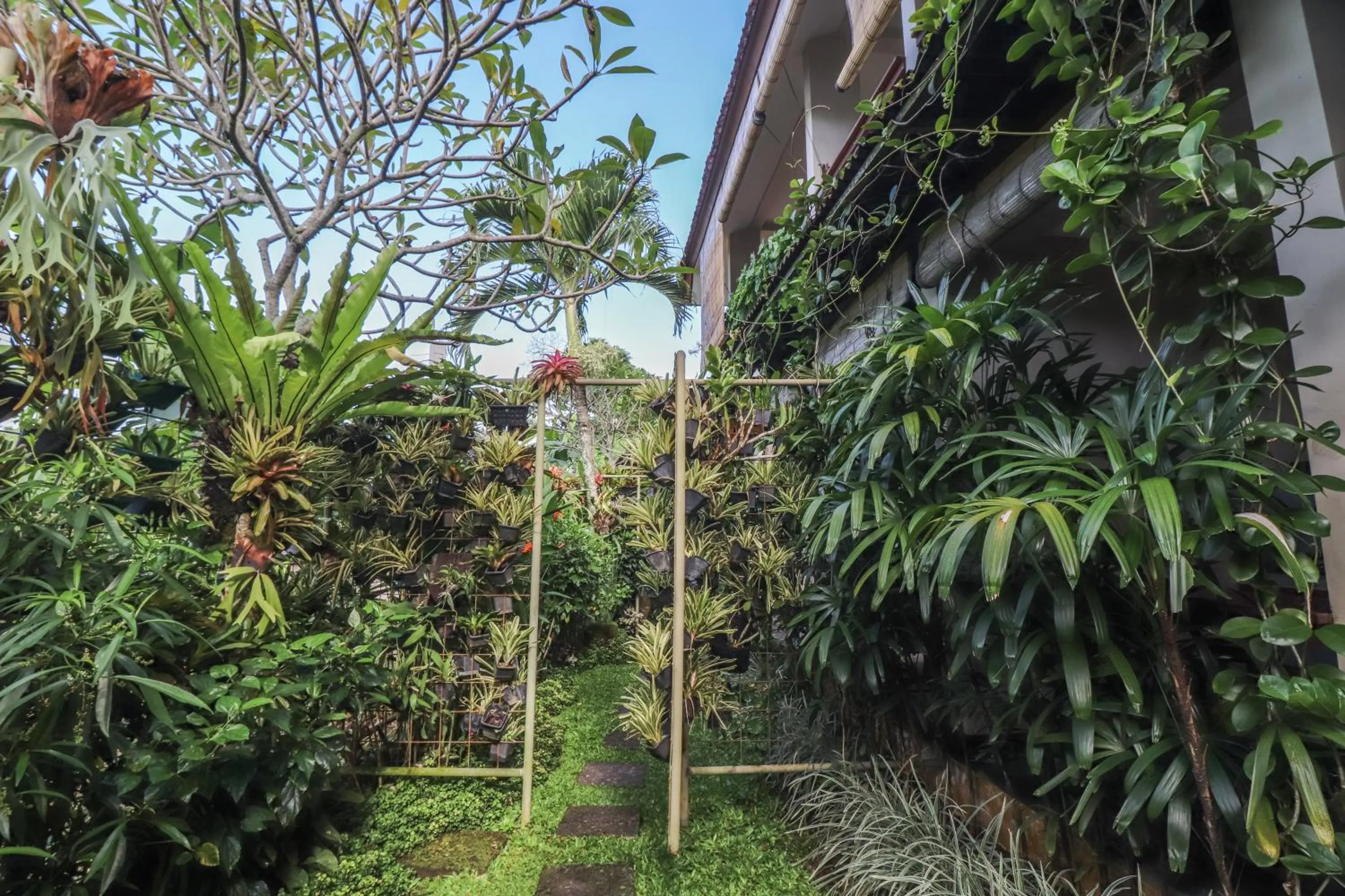 Garden view in Rumah Taman