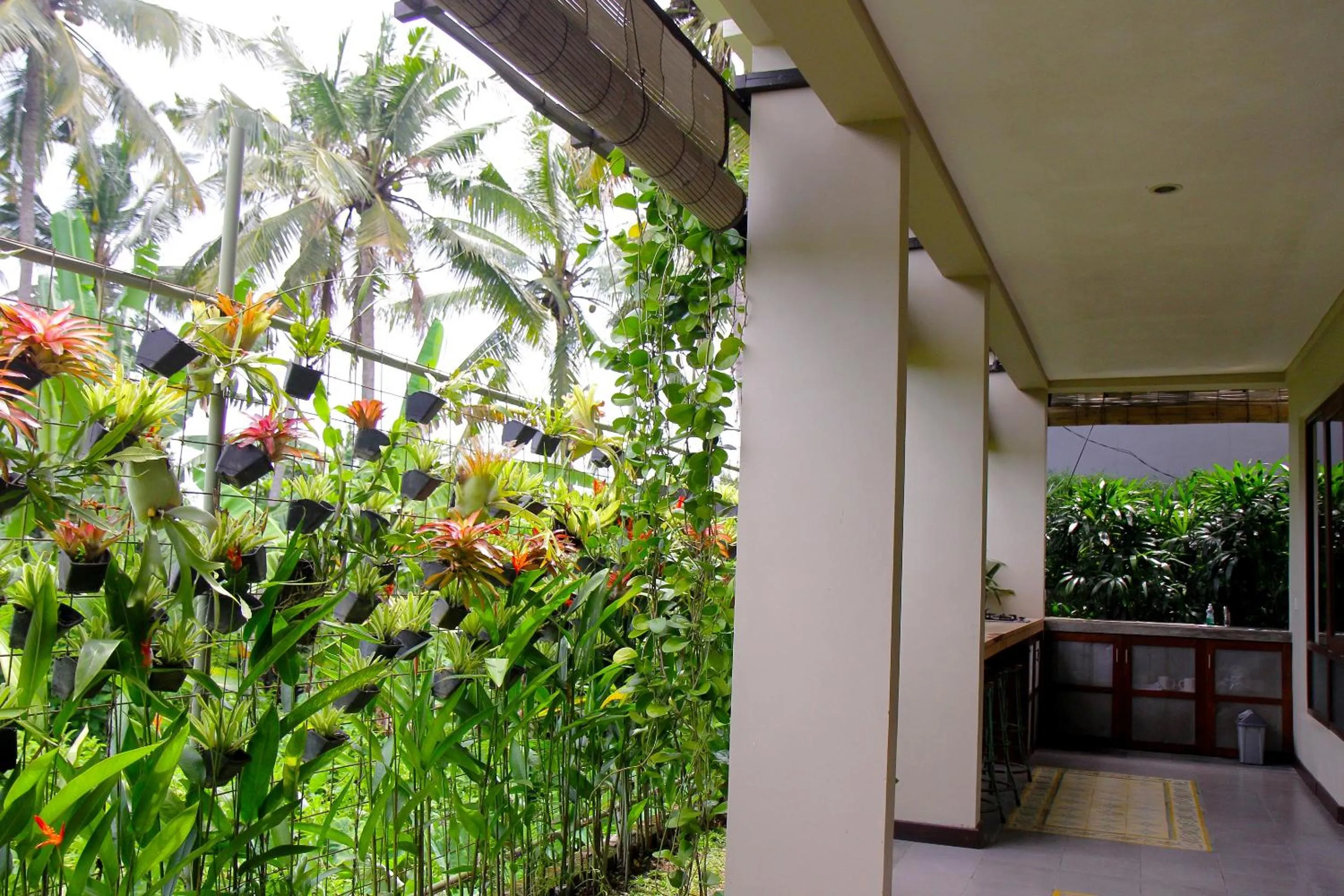 Garden in Rumah Taman