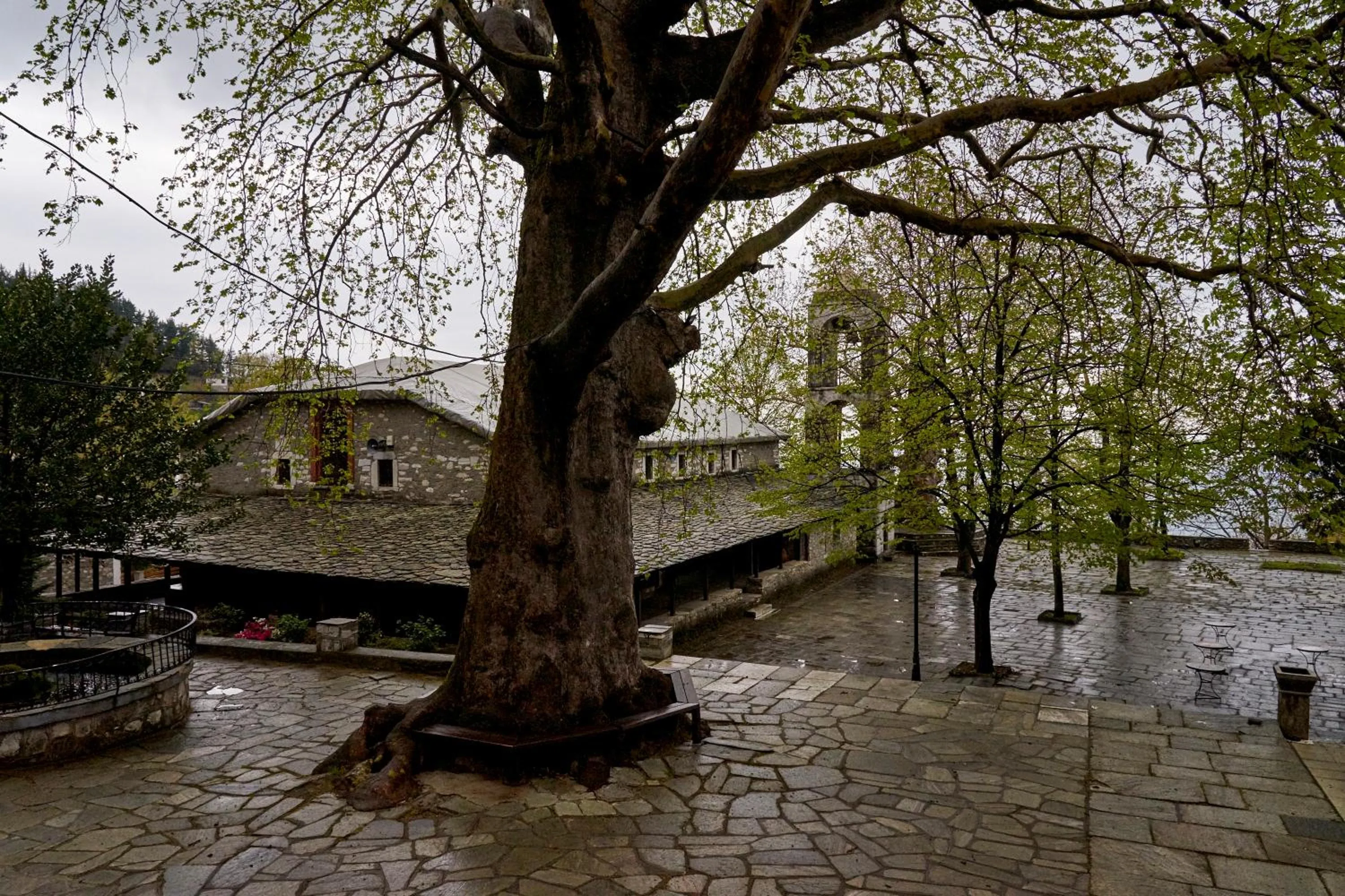 Neighbourhood in Hotel Atrapos