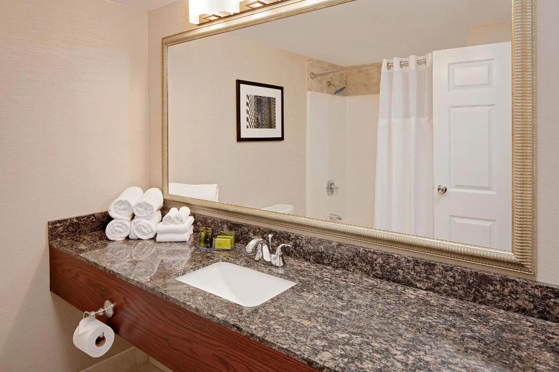 Bathroom in Westford Regency Inn & Conference Center