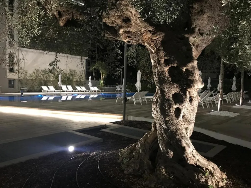 Pool view in YOUMAMI Suite Hotel Wellness&Spa