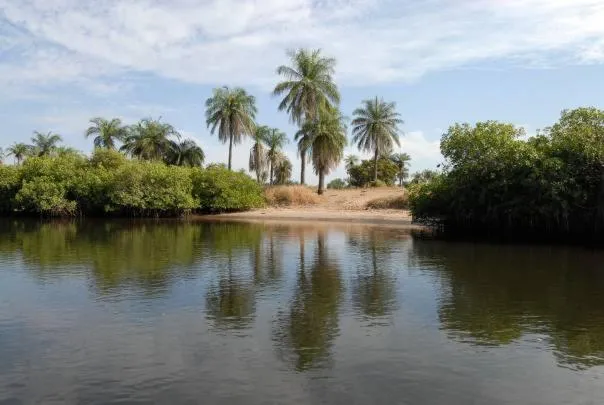 Property building in N'Danthiéné Lodge
