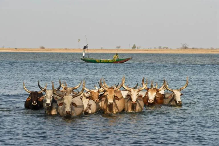 Property building in N'Danthiéné Lodge