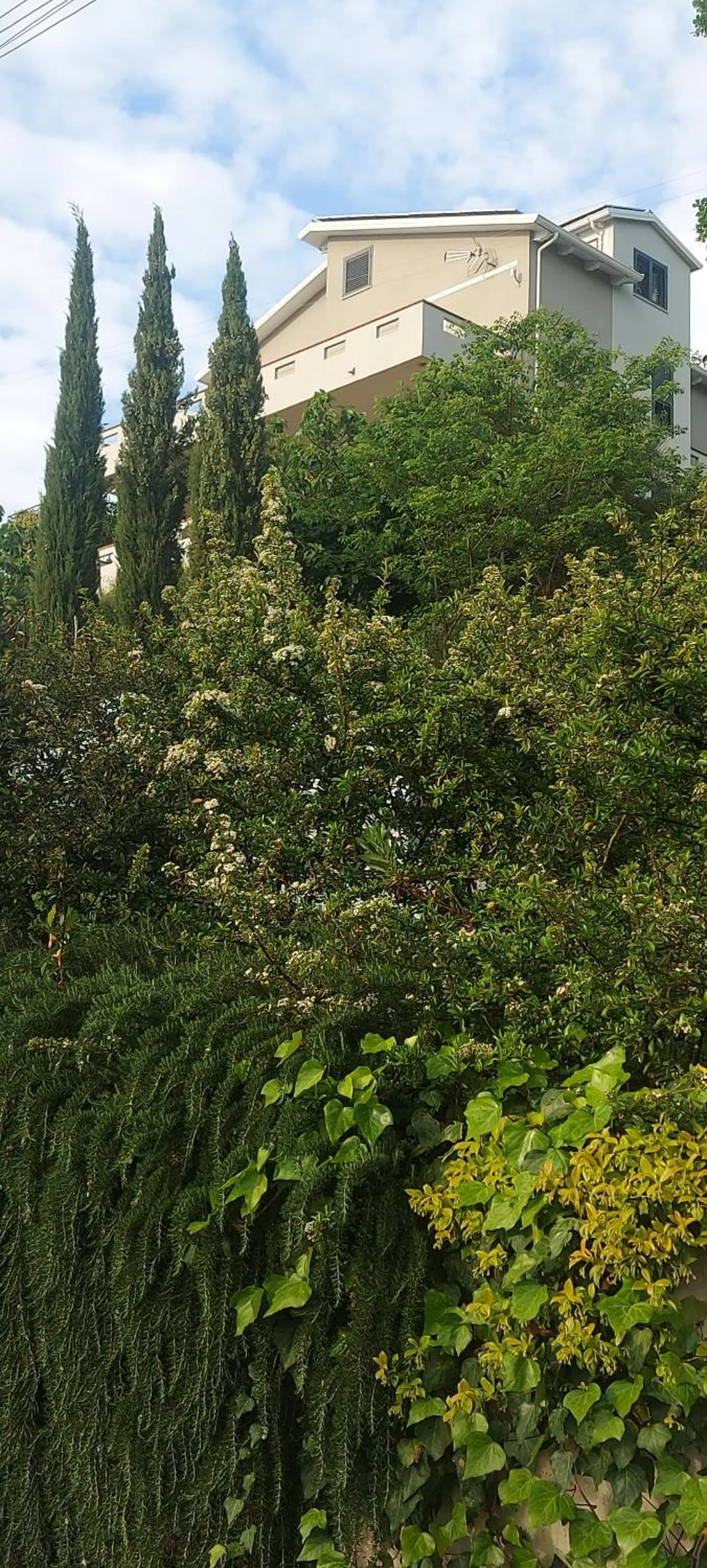 b&b binario nove e tre quarti