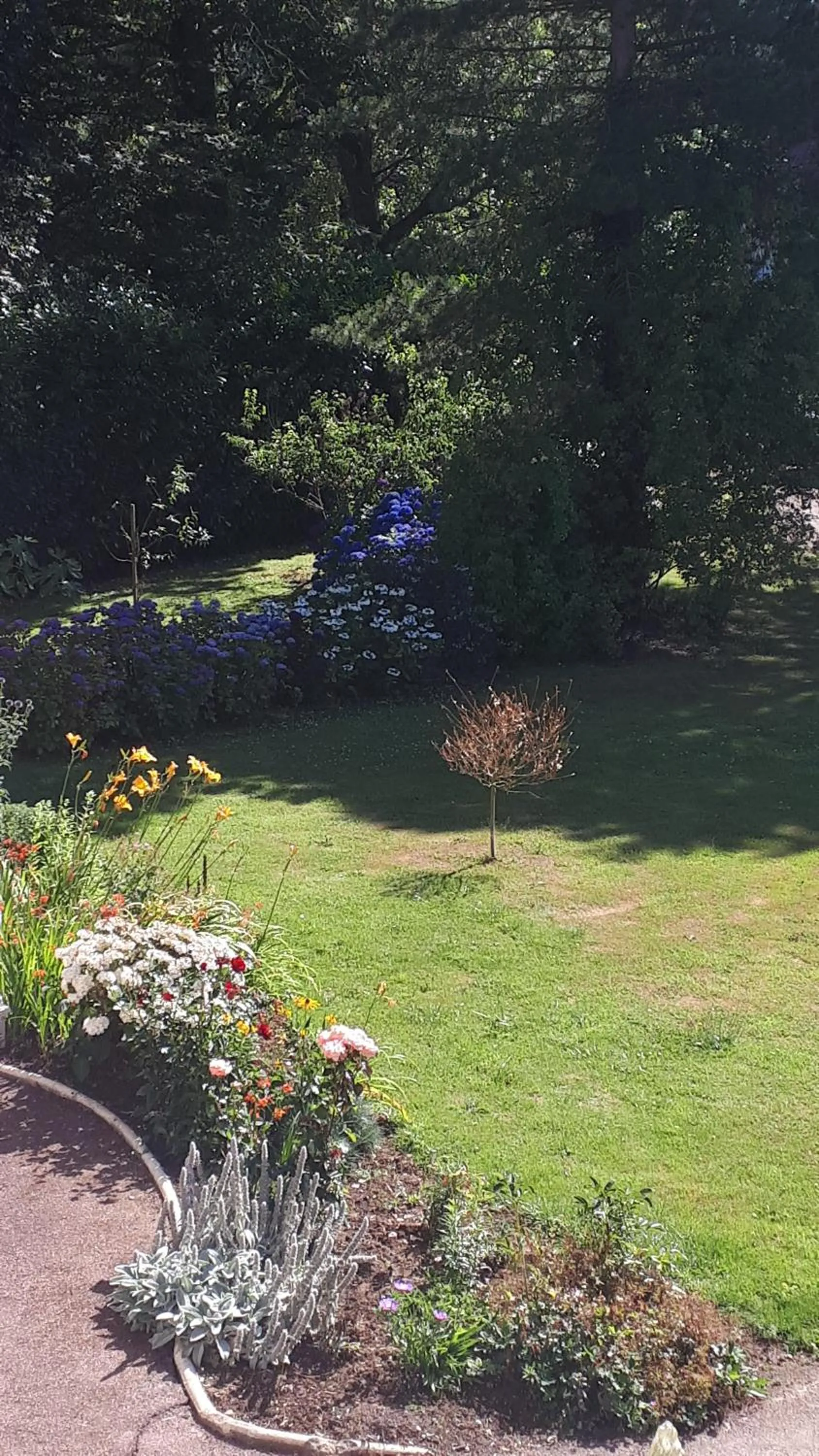 Garden view in Chambres d'hôtes Les 4 Vents