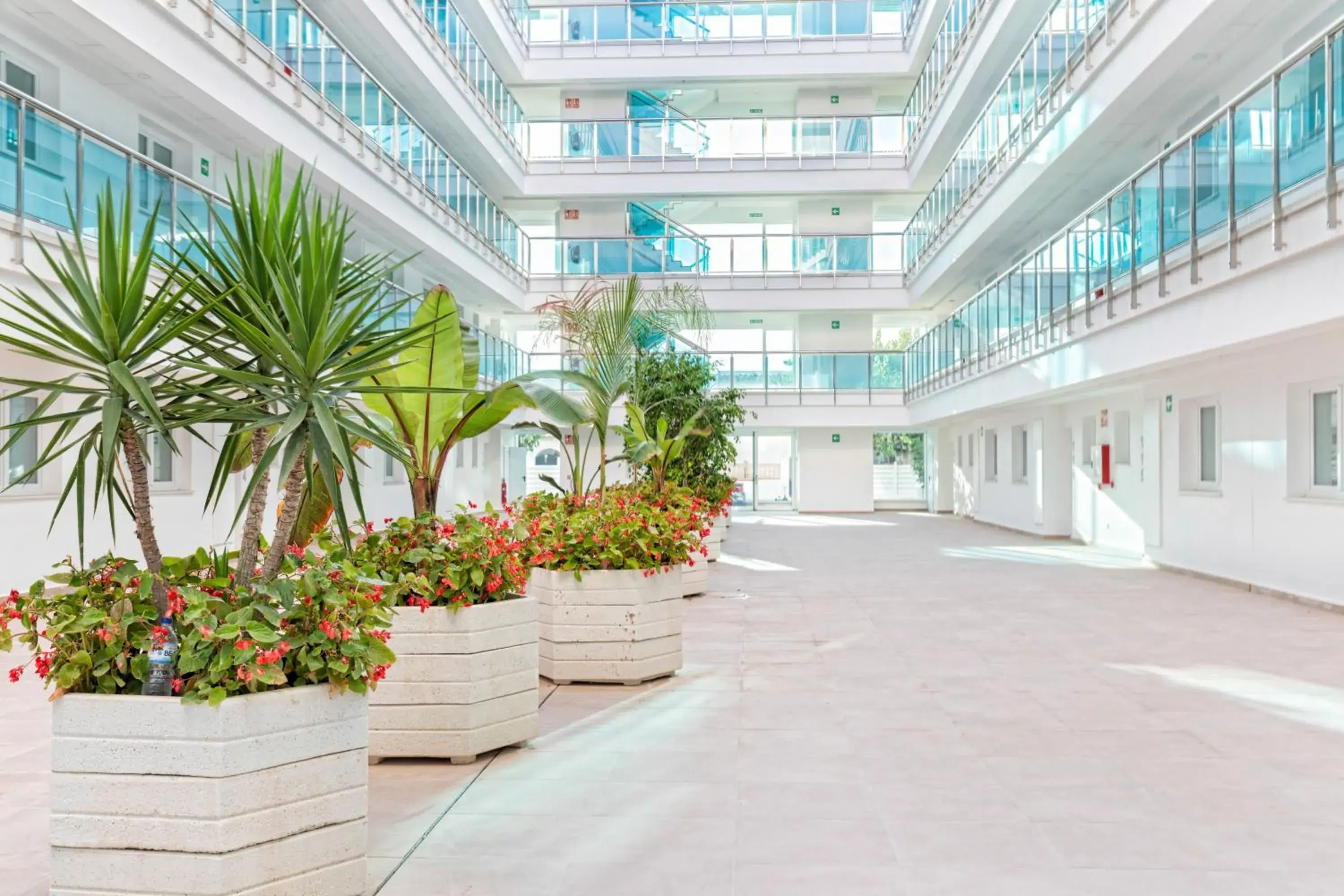 Apartment with Front Sea View in Alcossebre Sea Experience Apartment with Front Sea View in Alcossebre Sea Experience