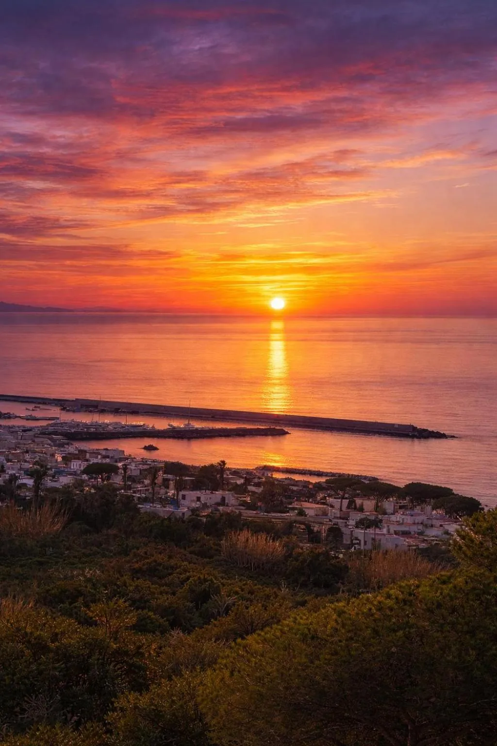 View (from property/room) in Villa Antonietta Ischia