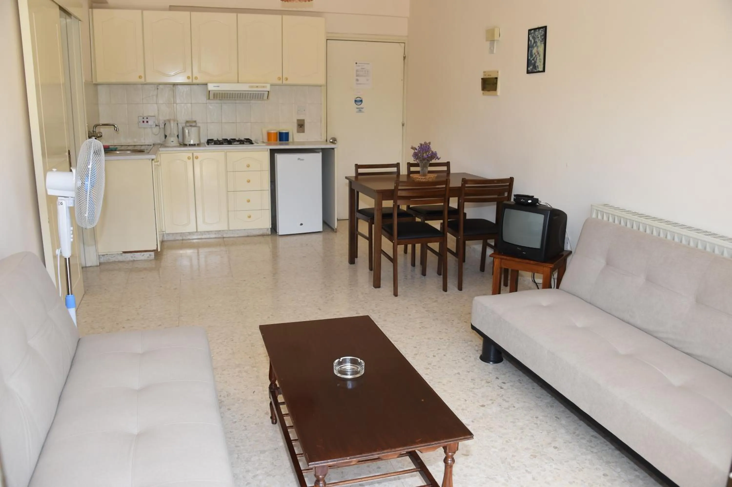 Kitchen or kitchenette in Odysseas & Eleni Hotel Apartments