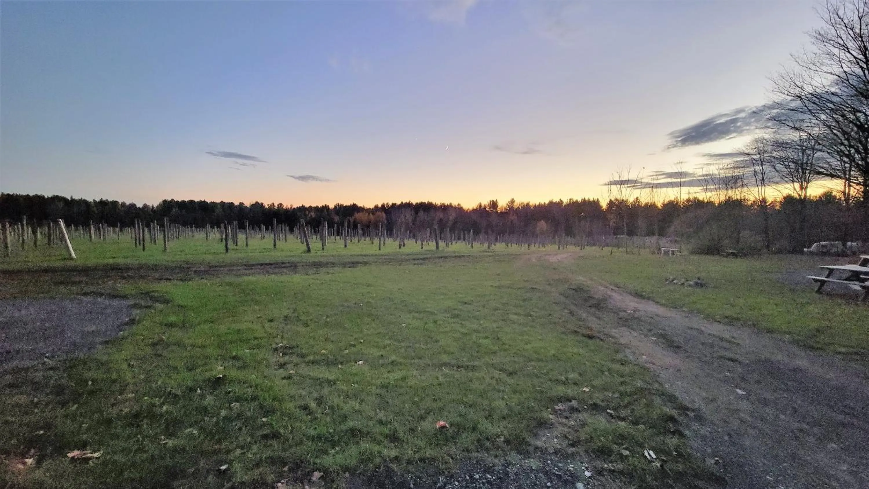 Natural landscape in Auberge du Vignoble Bromont