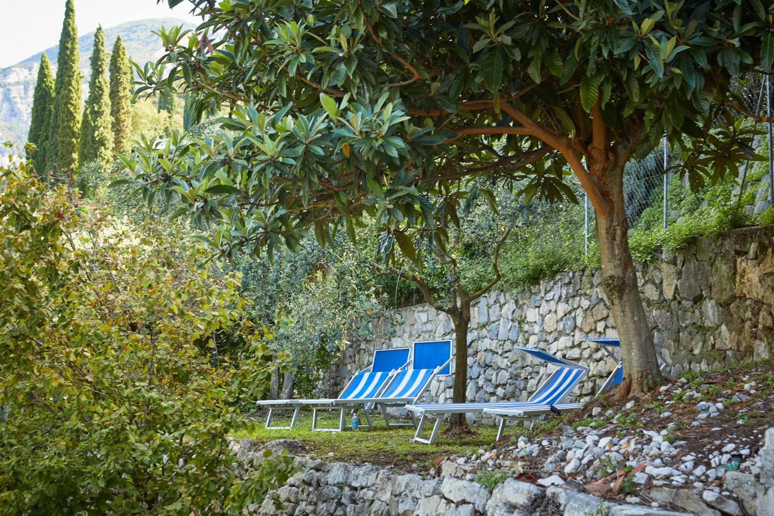 Garden in Hotel Paradiso Conca d'Oro