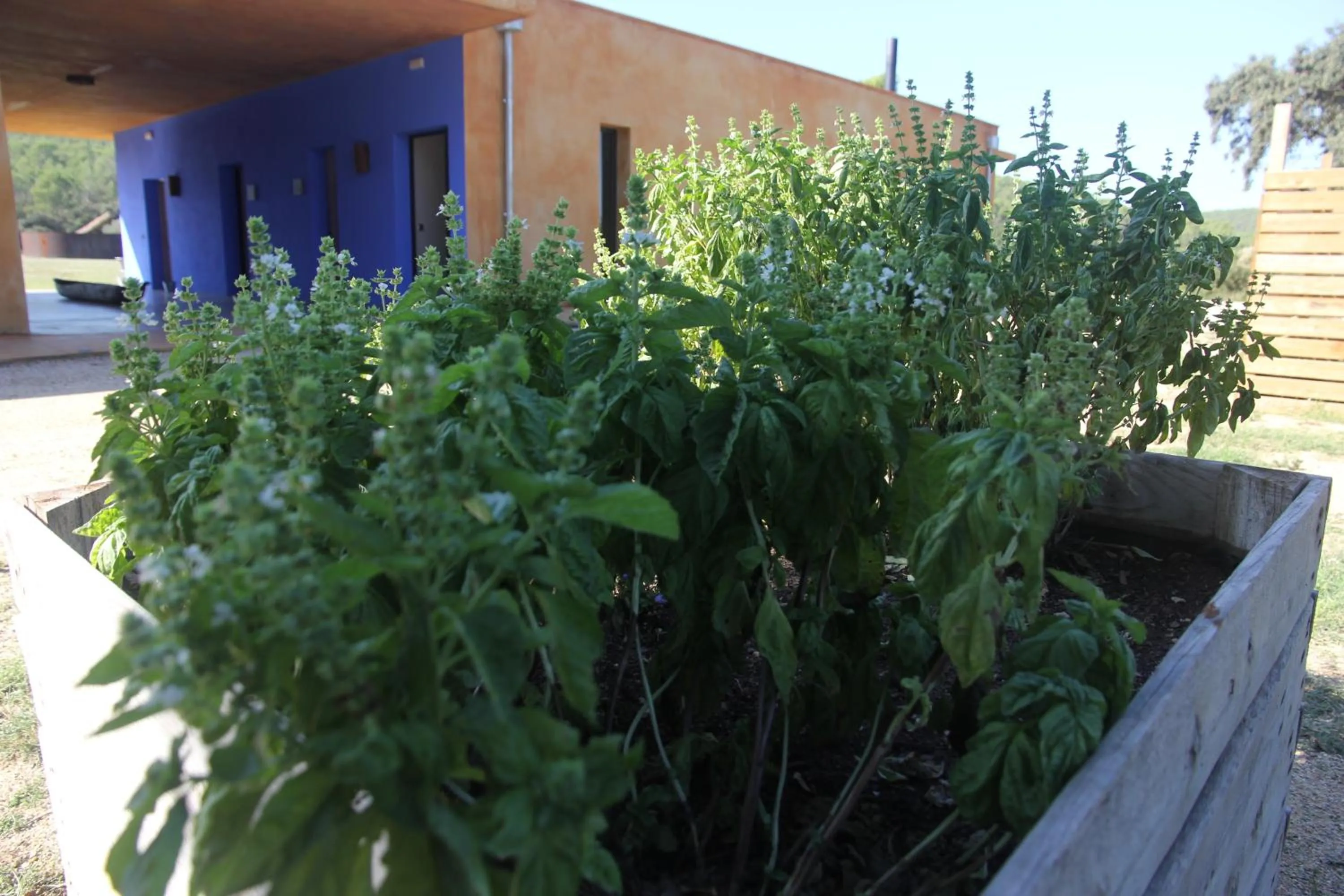 Property building in Hotel Fundació L'Olivar