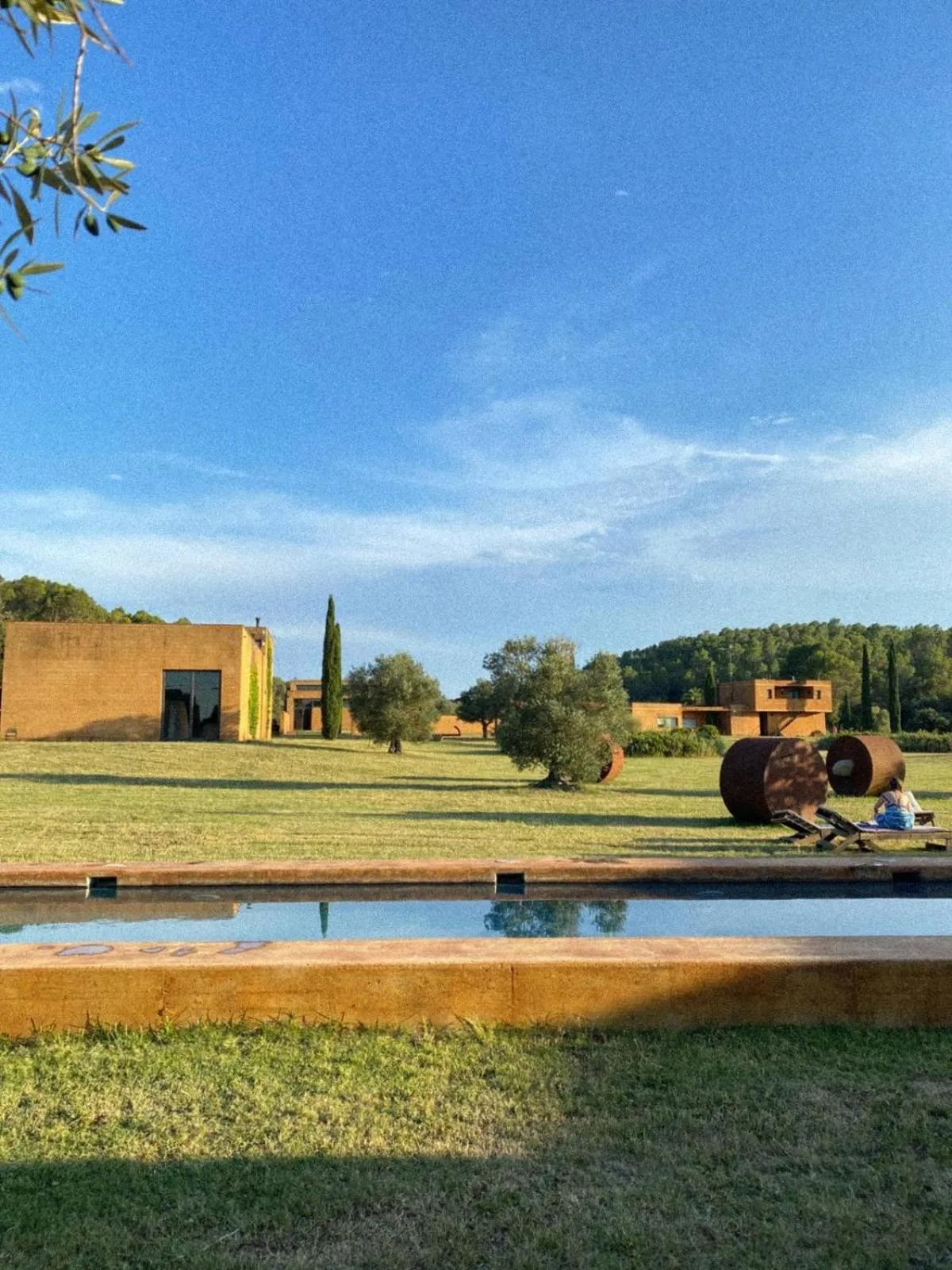 Natural landscape in Hotel Fundació L'Olivar
