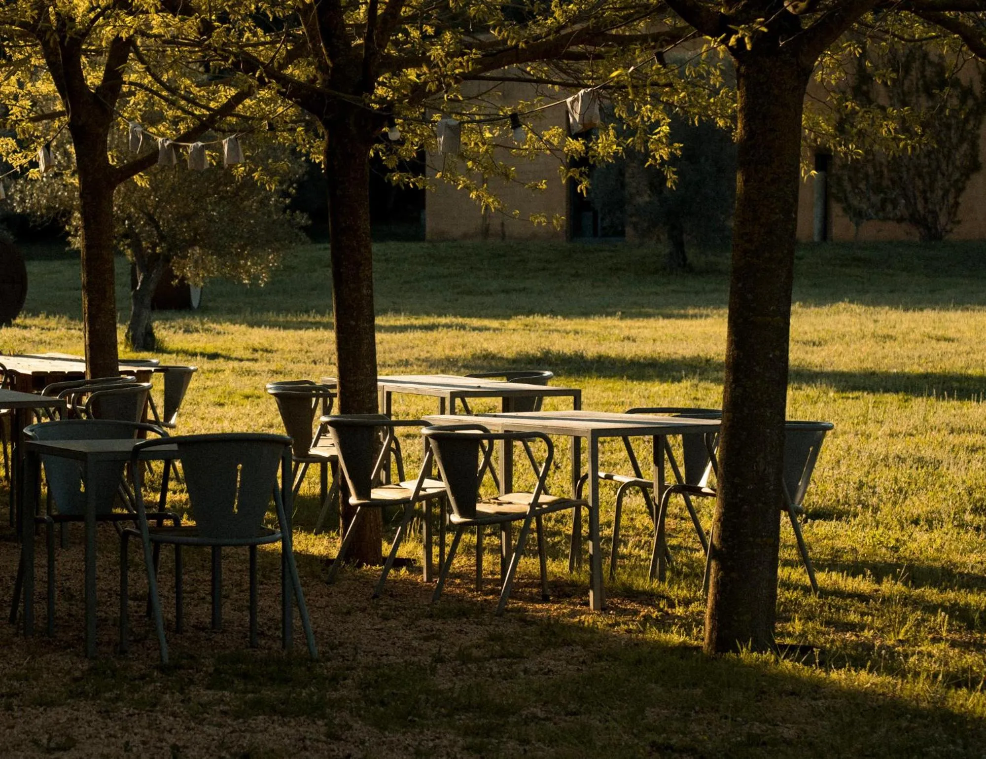 Patio in Hotel Fundació L'Olivar