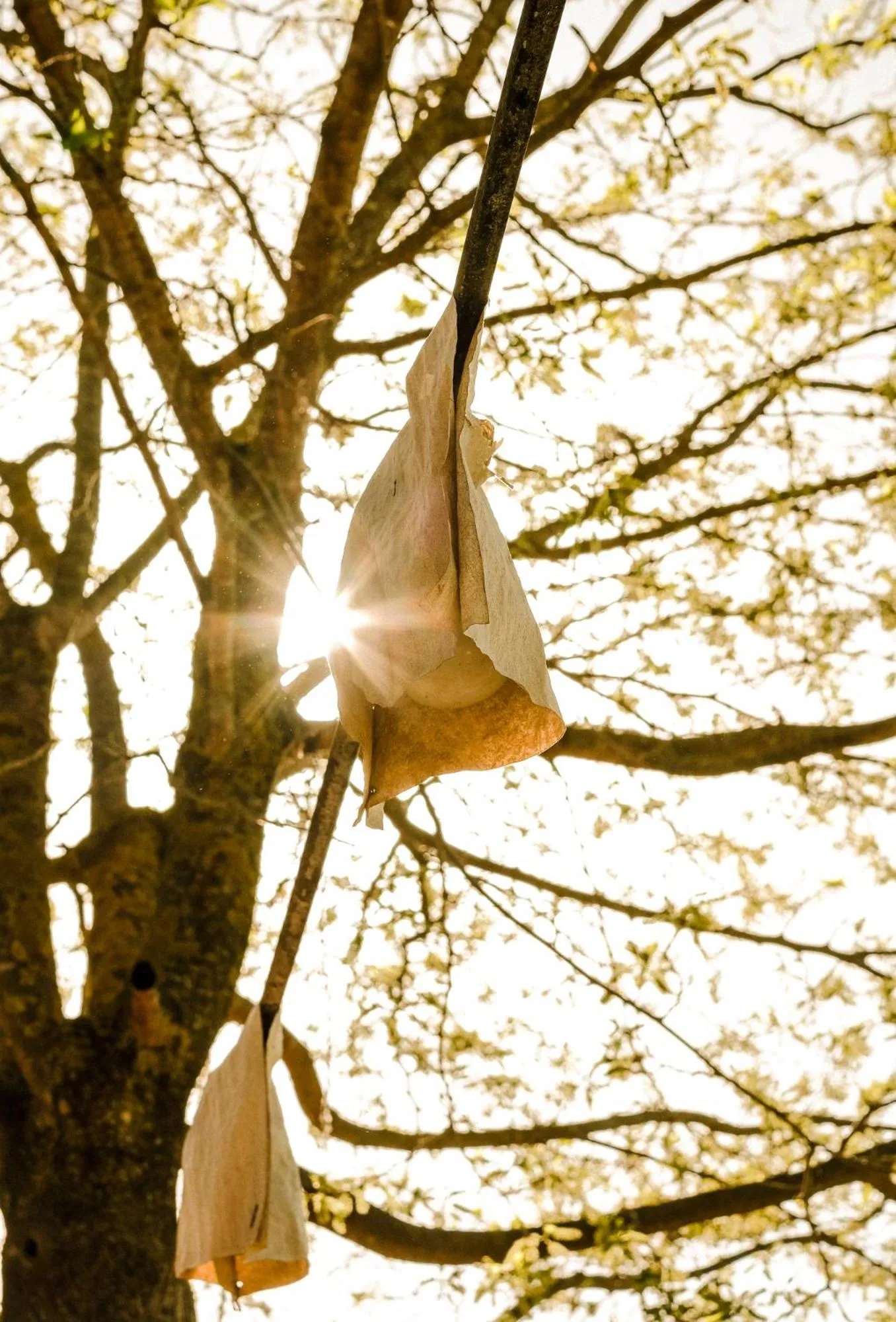 Restaurant/places to eat in Hotel Fundació L'Olivar