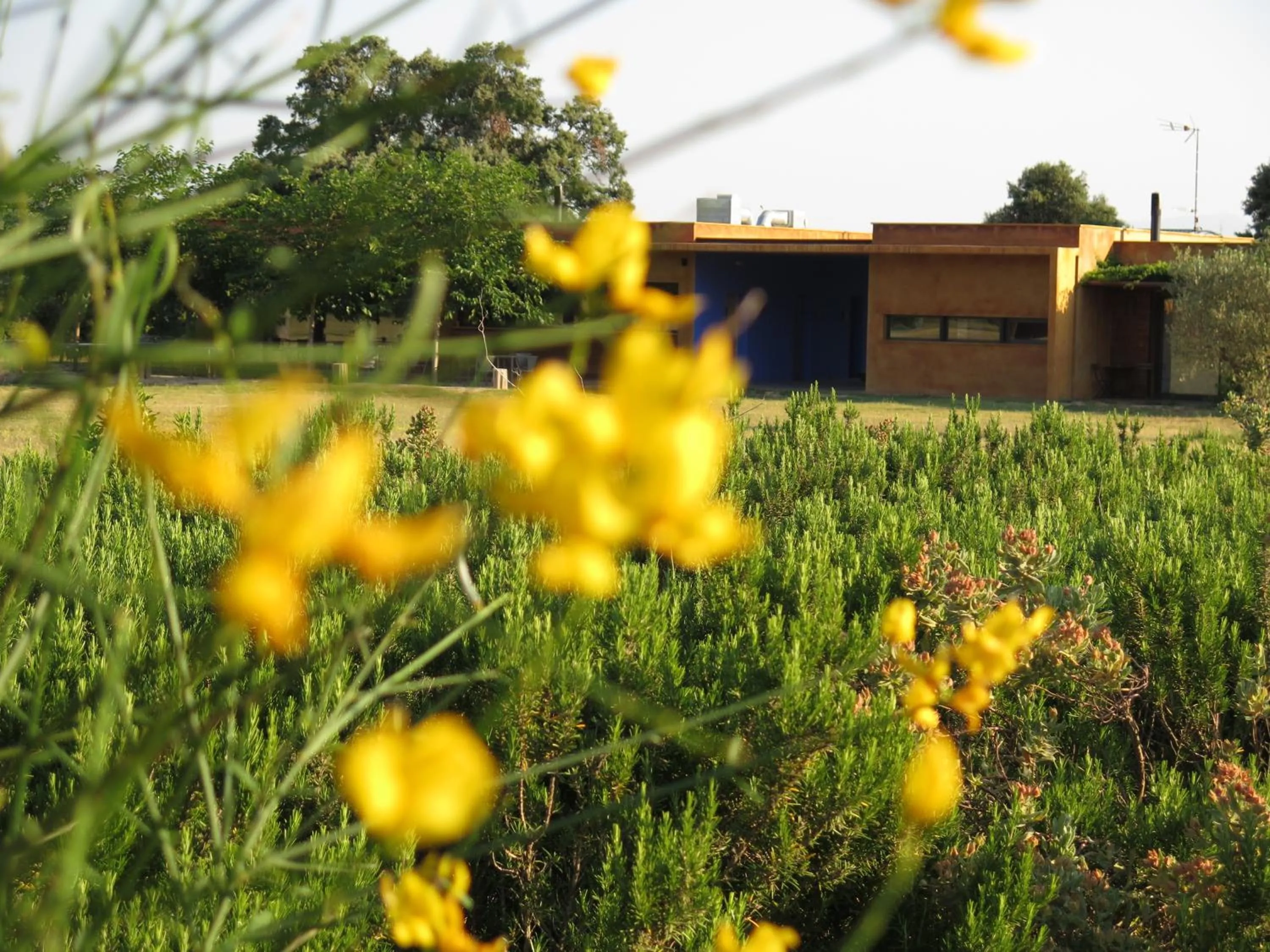 Patio in Hotel Fundació L'Olivar