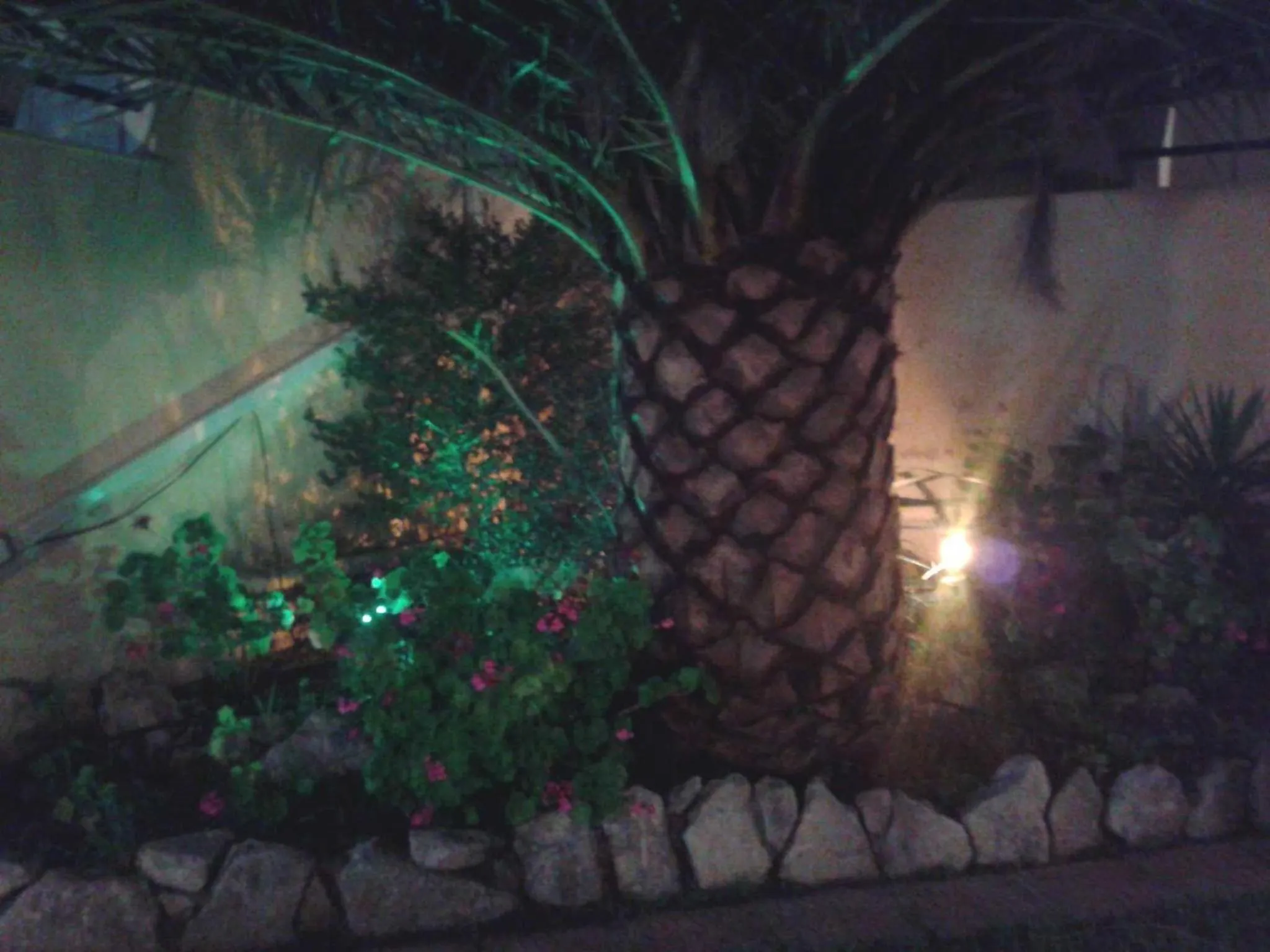 Garden in Hotel Giorgio