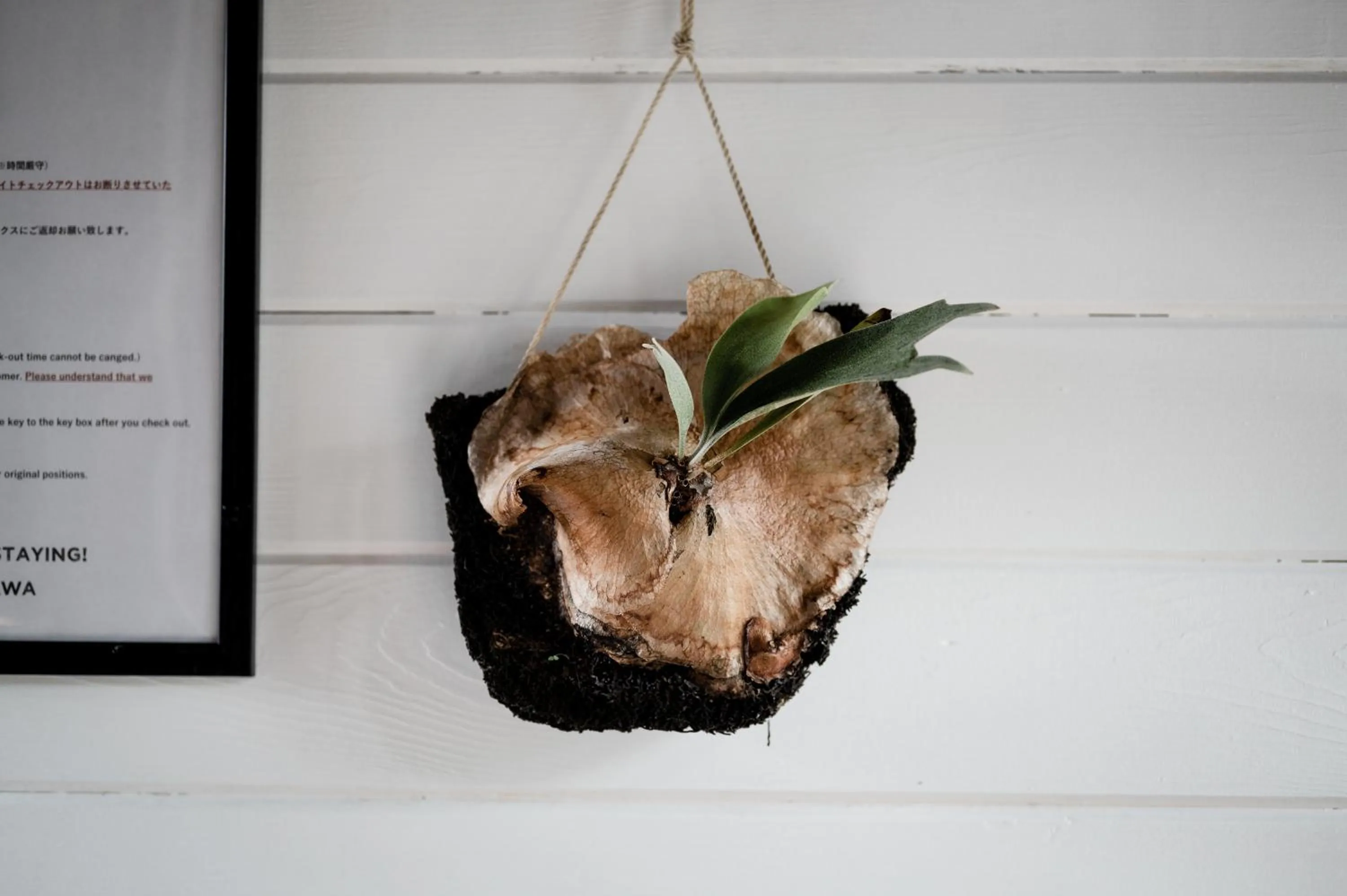 LOGIN OKINAWA -wood-