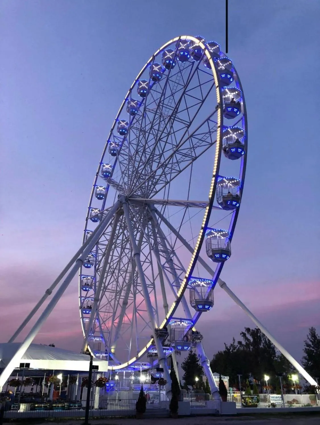 Activities in Wellness Dorina