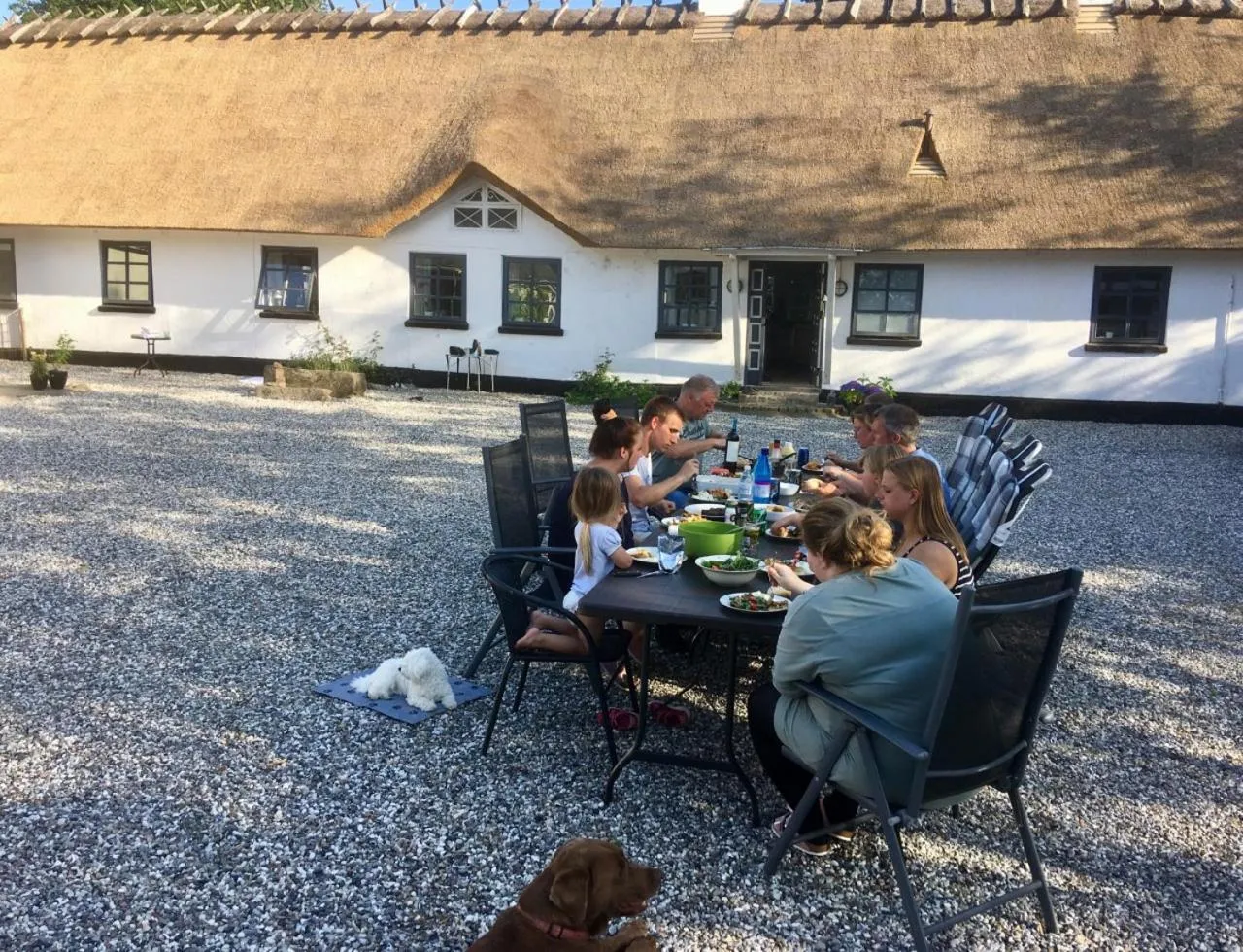 Activities in Kroghøjgård