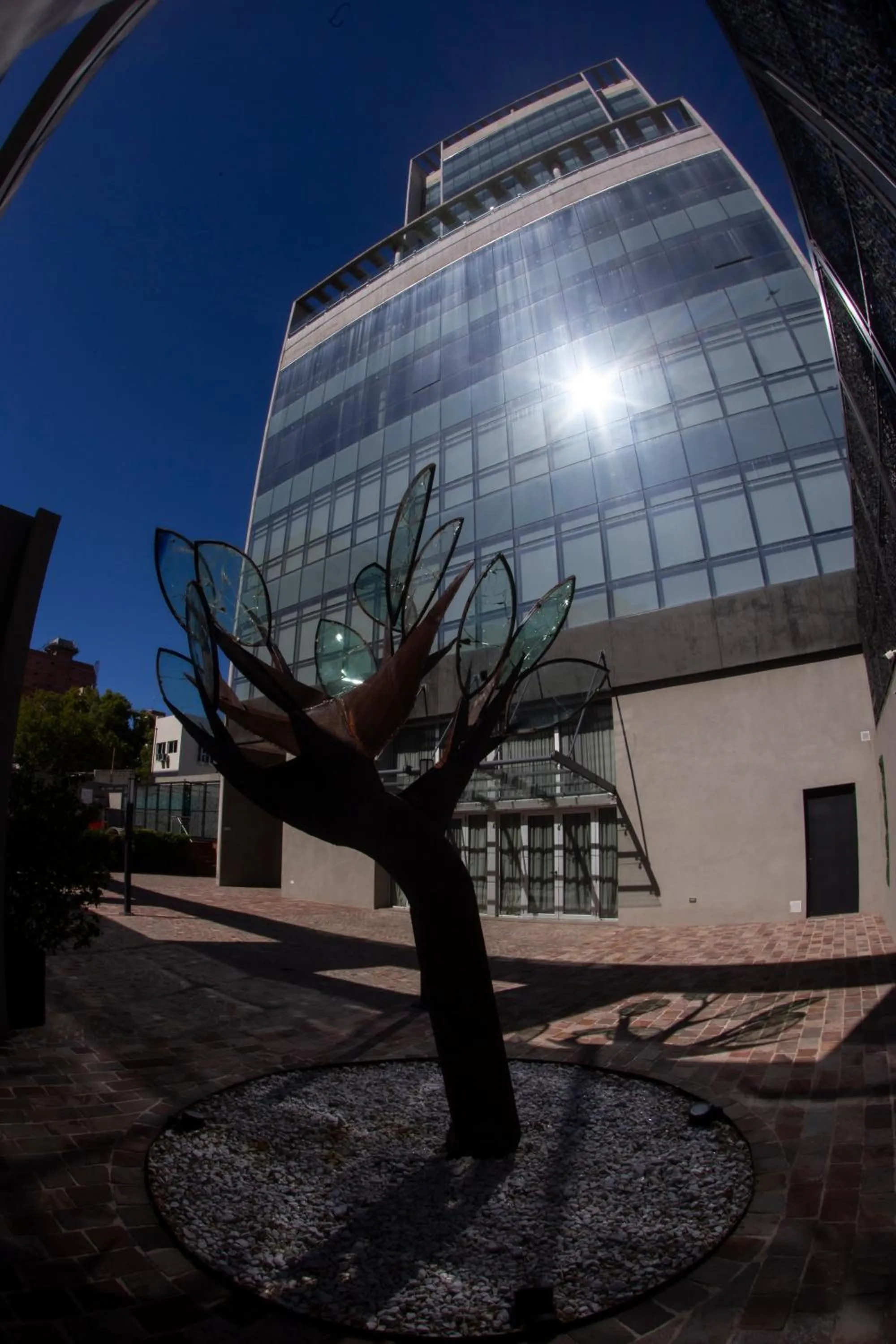 Garden in Hotel Land Plaza La Plata