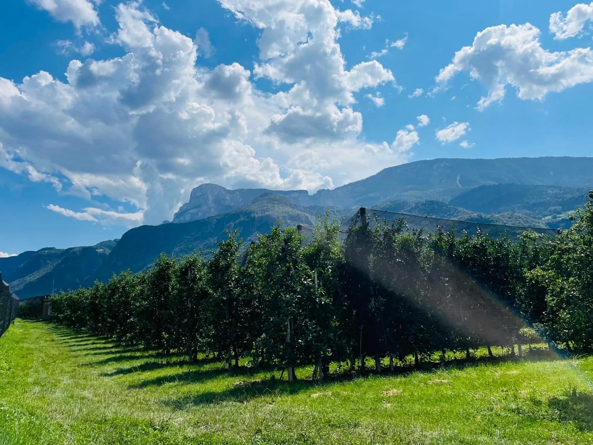 Mountain view in St. Vigilhof