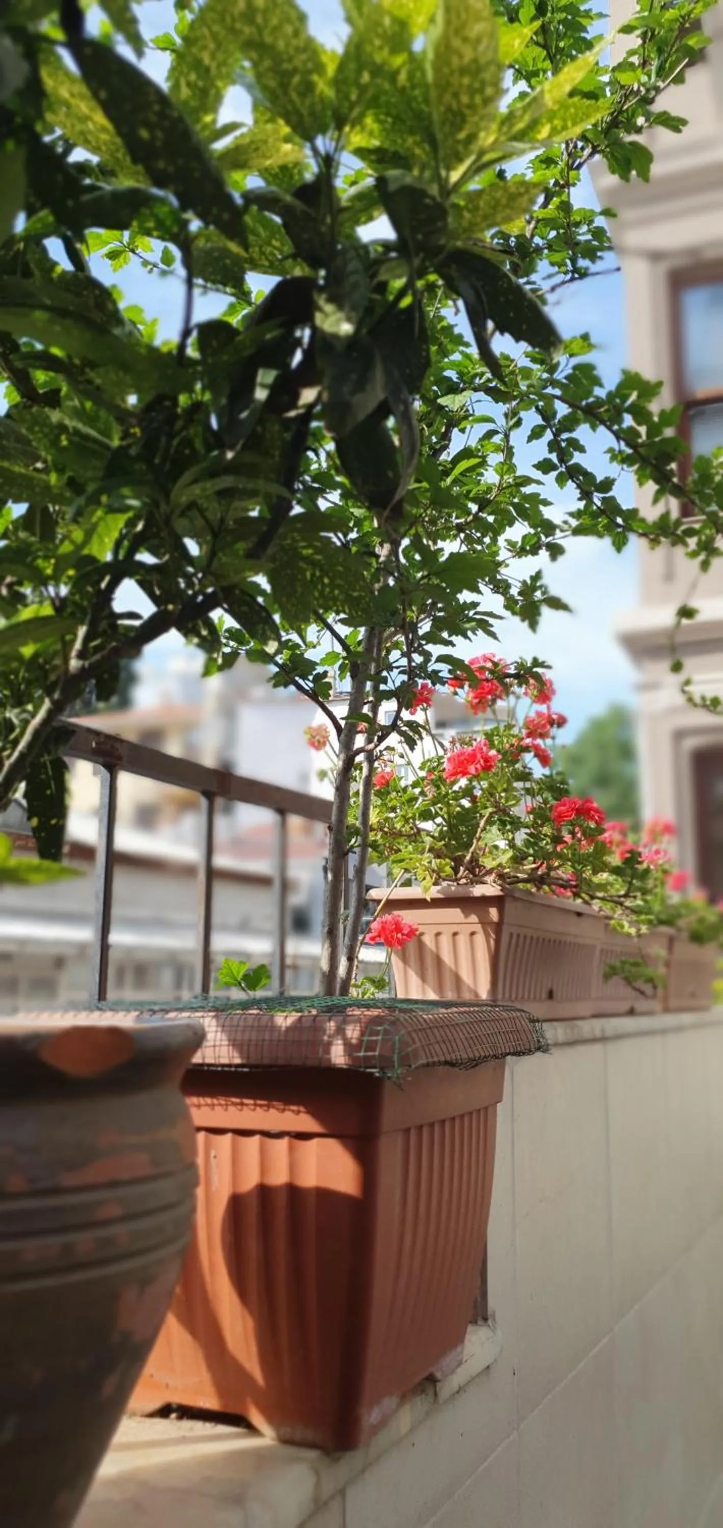 Balcony/Terrace in Faik Pasha Hotels Special Category Beyoglu Istanbul