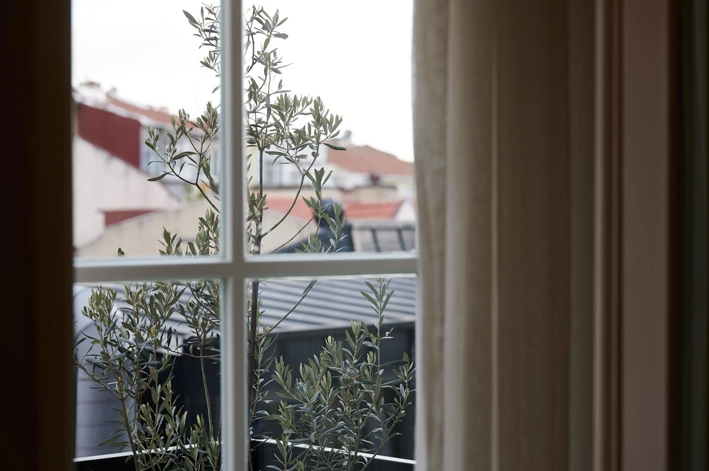 Balcony/Terrace in Faik Pasha Hotels Special Category Beyoglu Istanbul