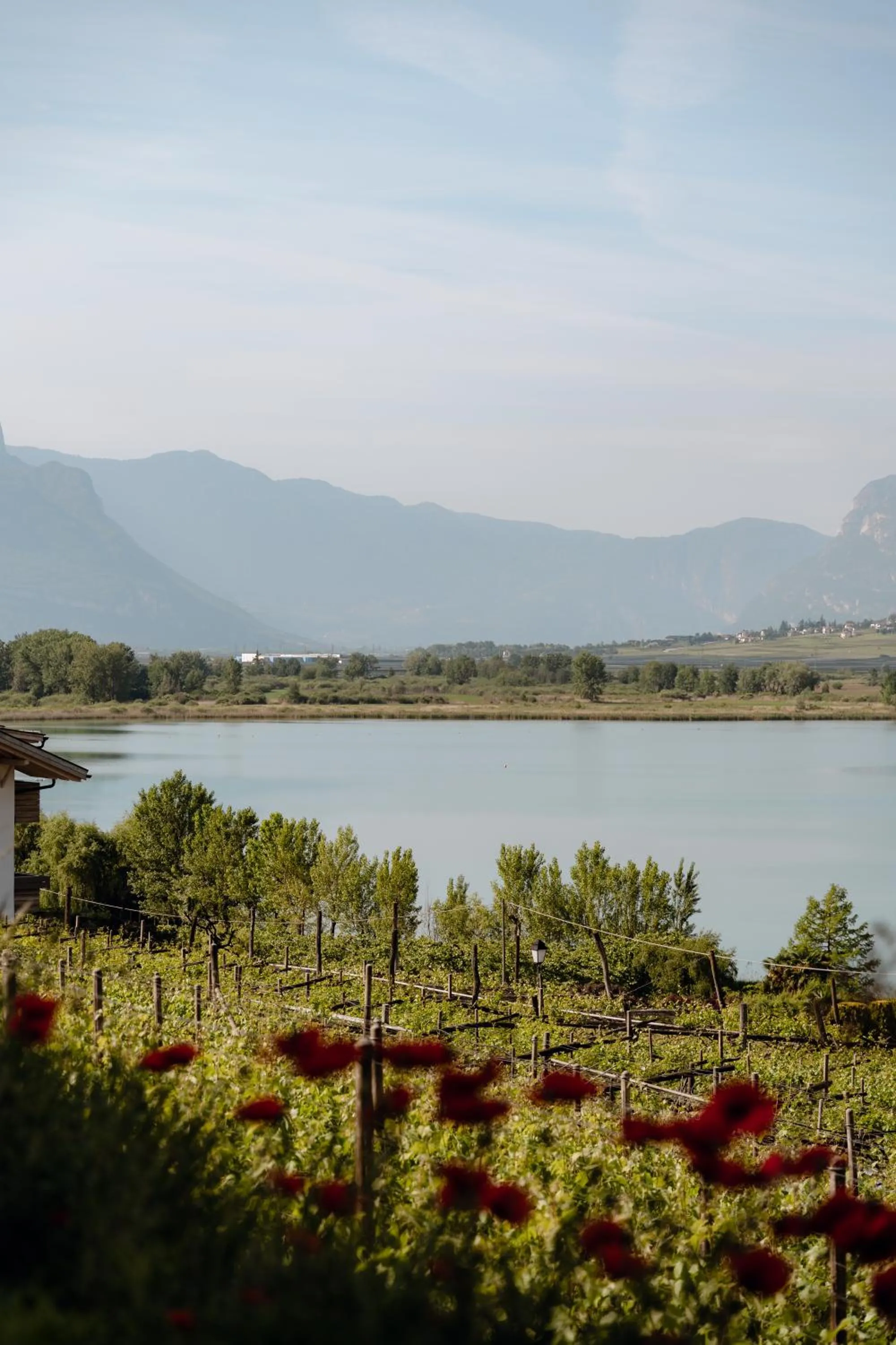 View (from property/room) in Leuchtenburg am See