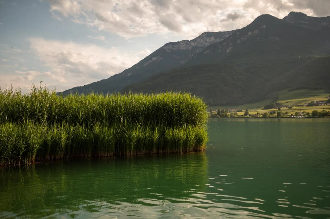 Beach in Leuchtenburg am See