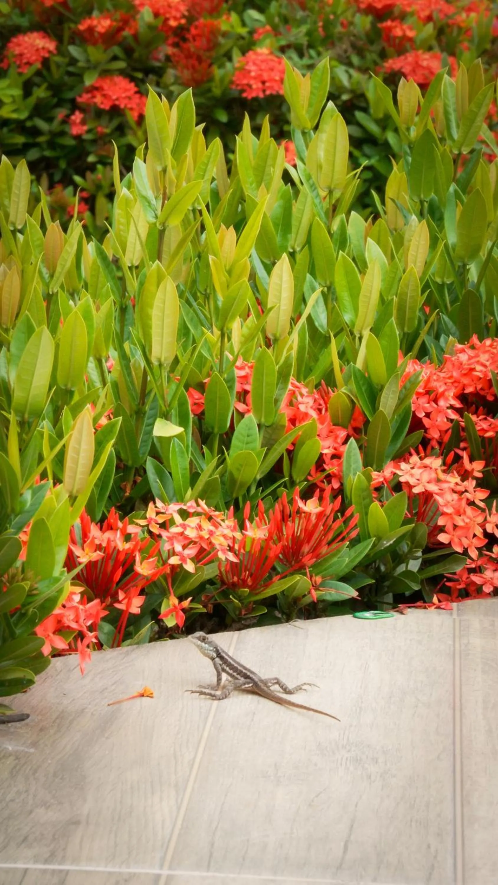 View (from property/room) in Bem Bahia Hotel - Rede Bem Bahia