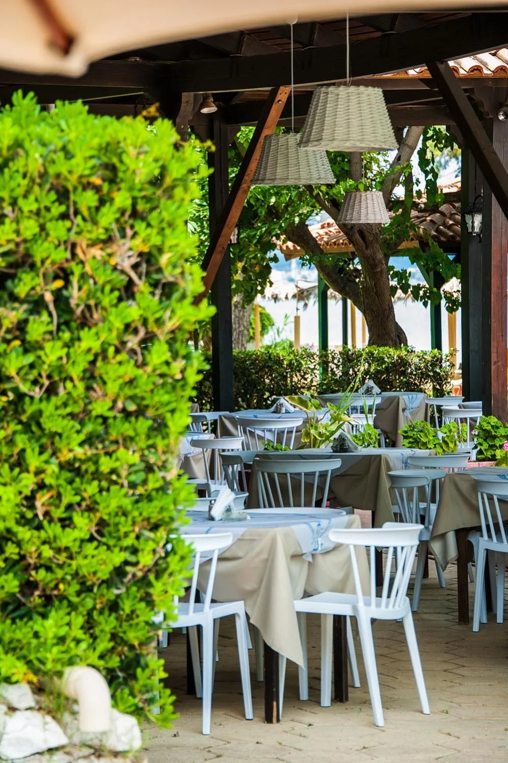 Restaurant/places to eat in Mimoza Beach